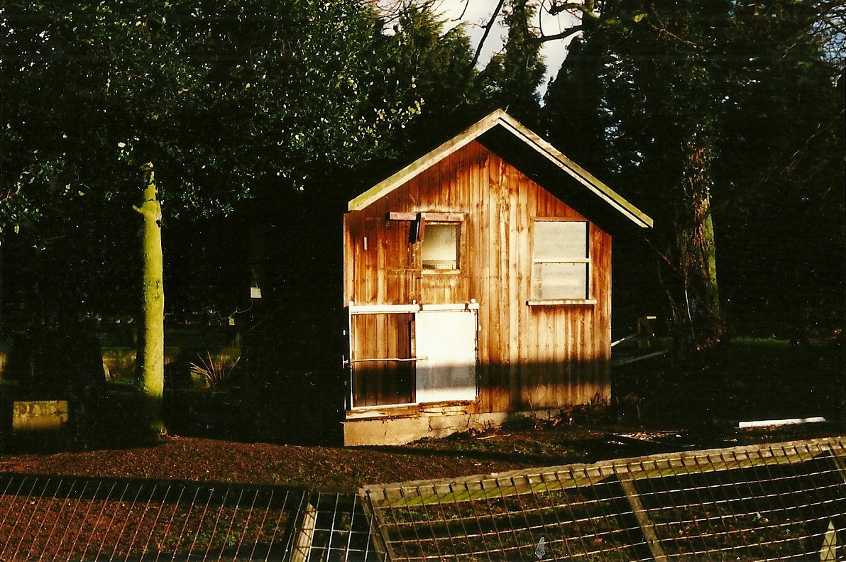 Primate (formerly Cat) cage in process of demolition 29th January 2000