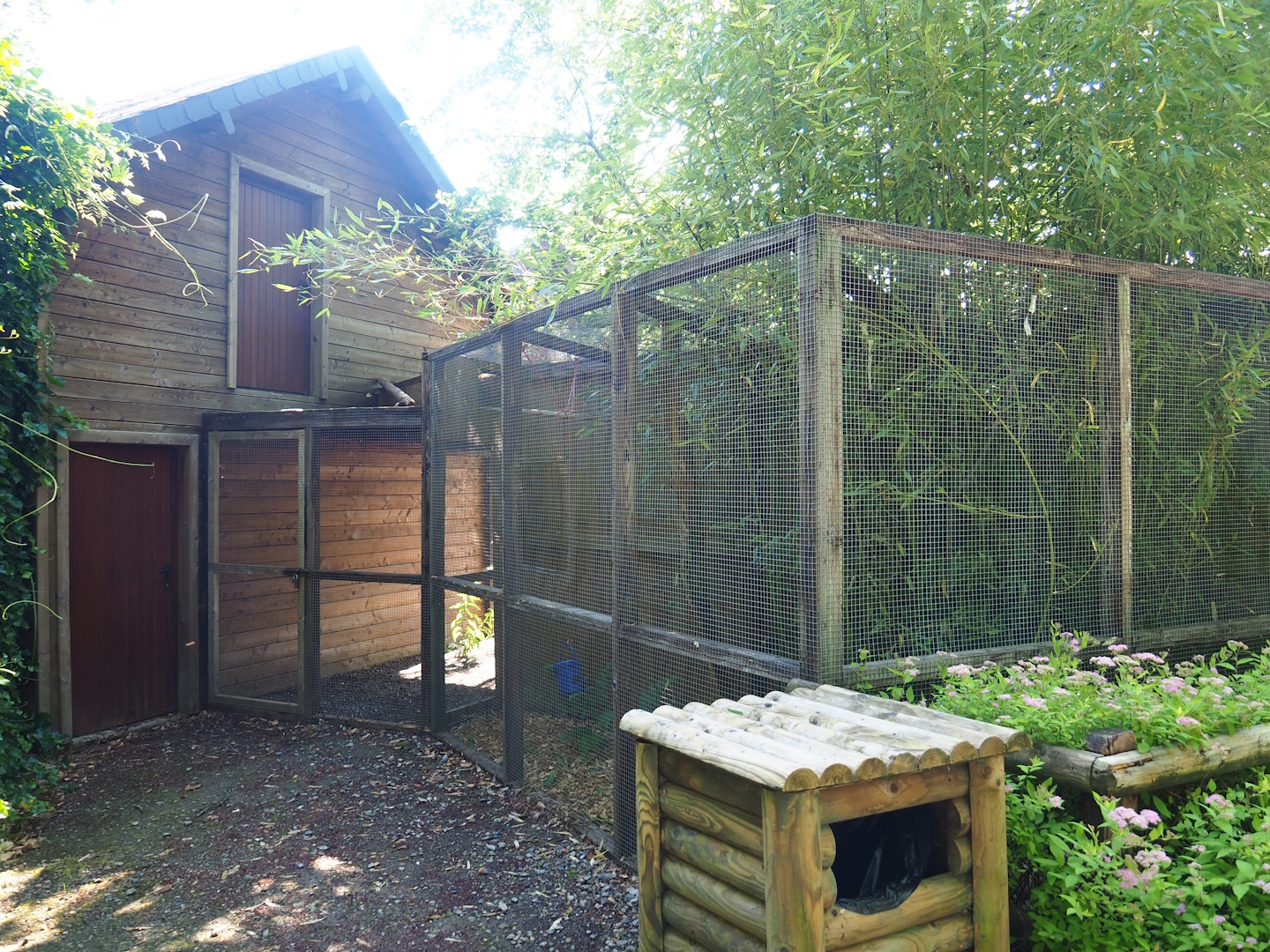 Primate, genet and jaguar building and one of the callitrichid outdoor exhibits, 2023-06-24