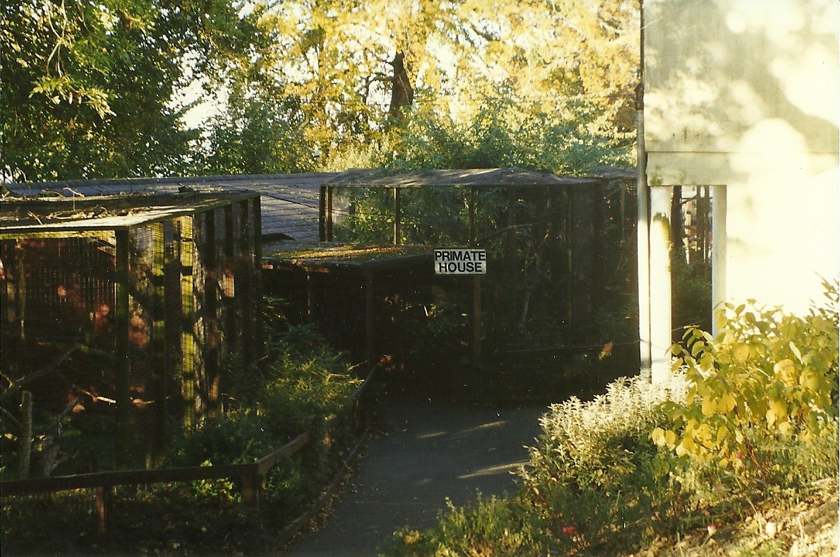 Primate House 31st October 1997