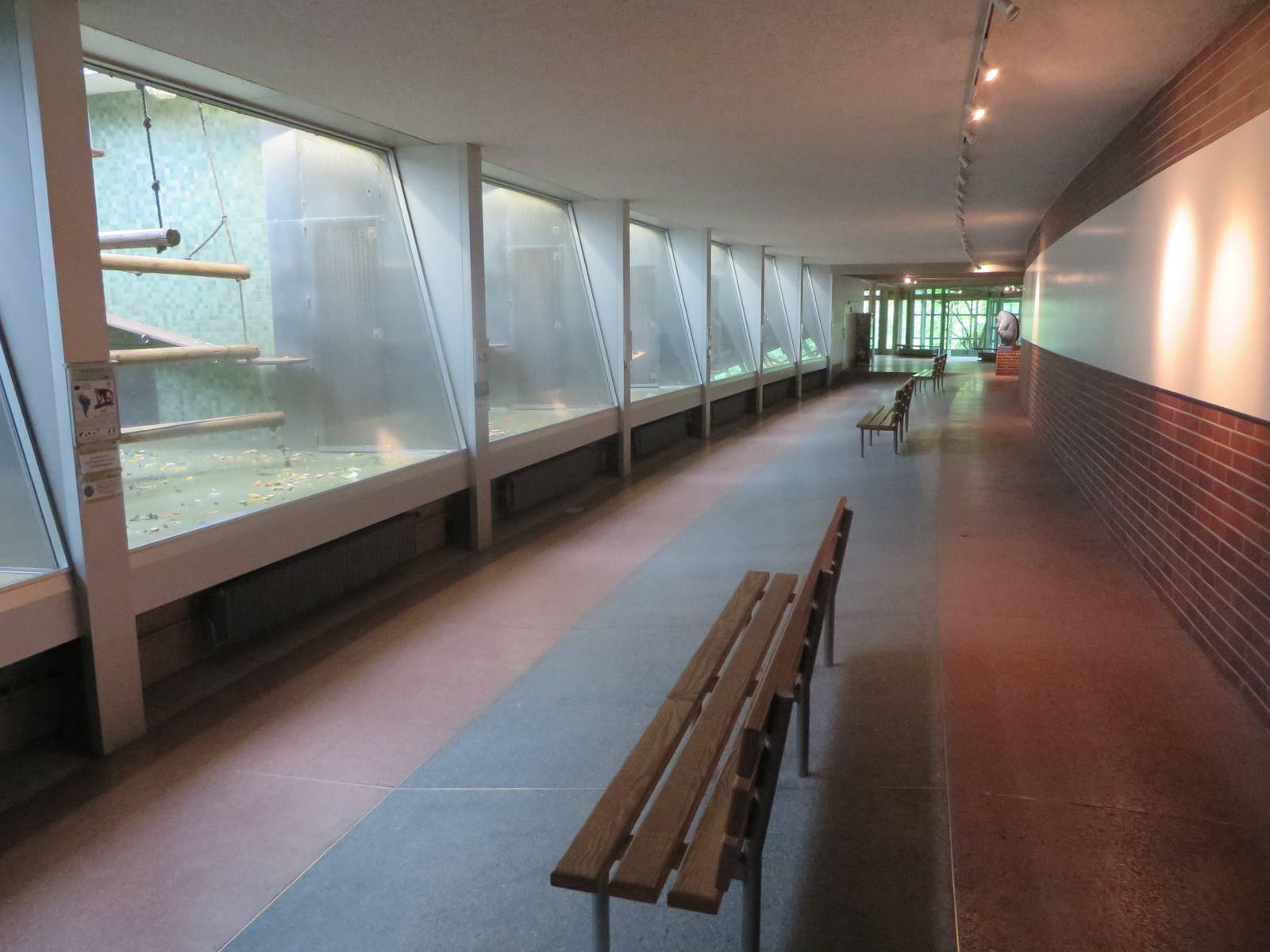 Primate house - Ape section