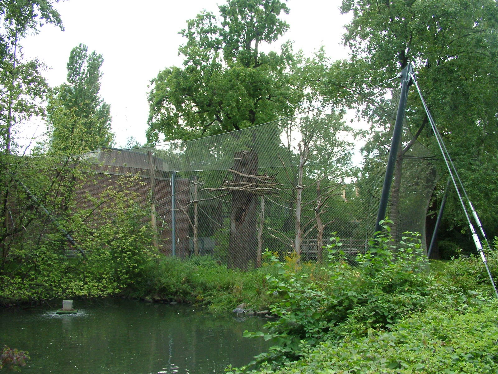 Primate House at Berlin Zoo, 31/08/11