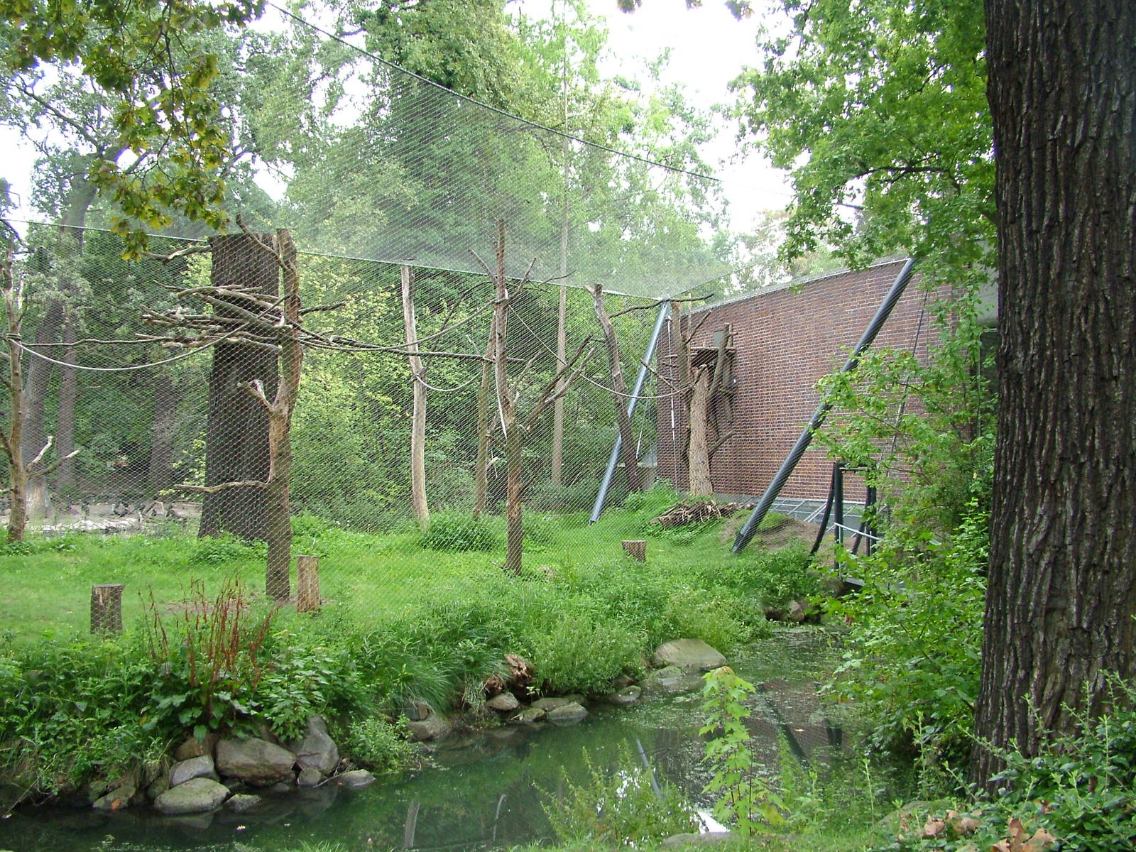 Primate House at Berlin Zoo, 31/08/11