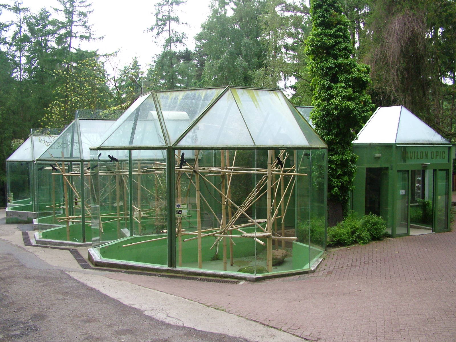 Primate House at Olomouc 30/05/10