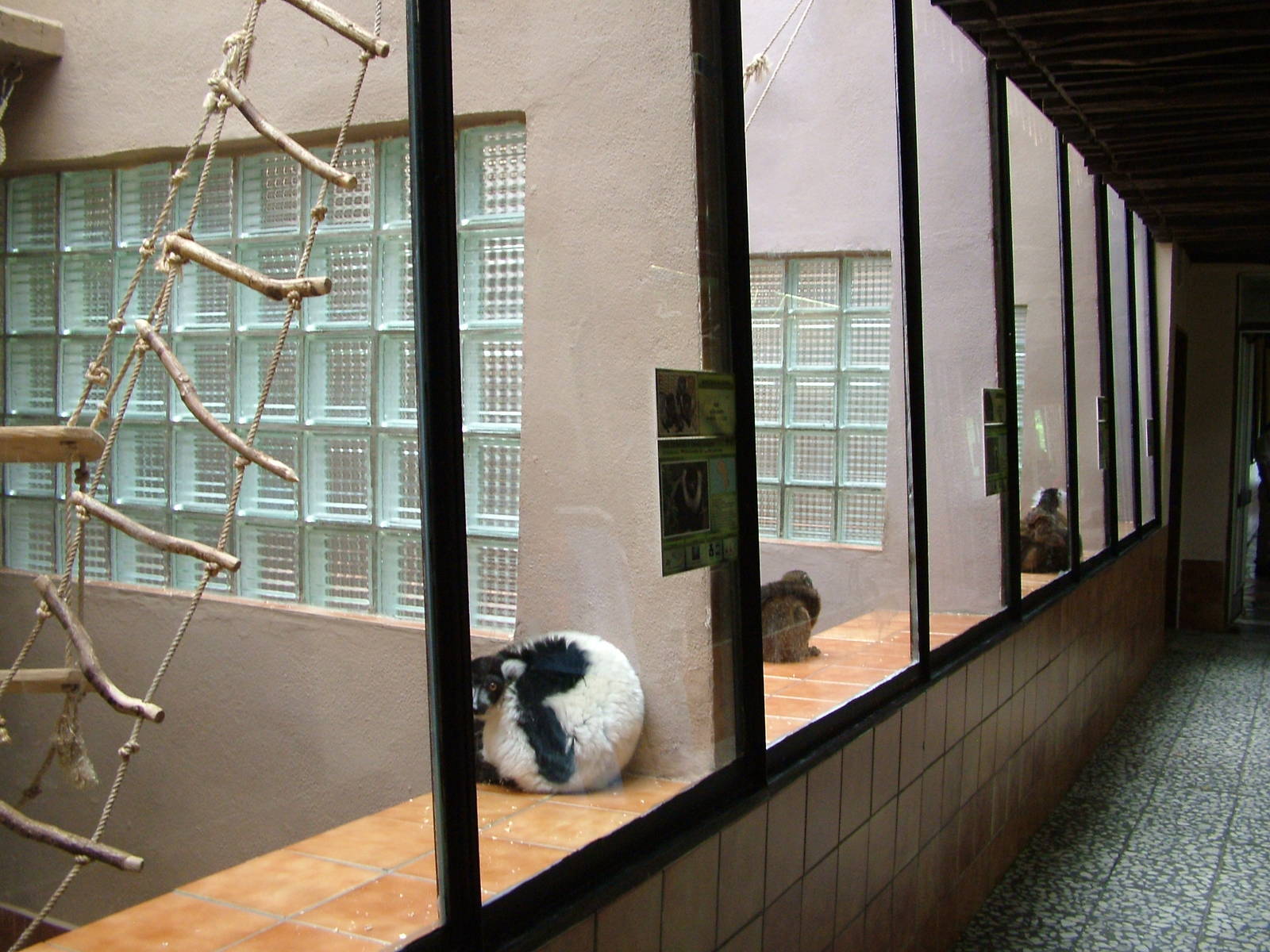 Primate House at Olomouc 30/05/10