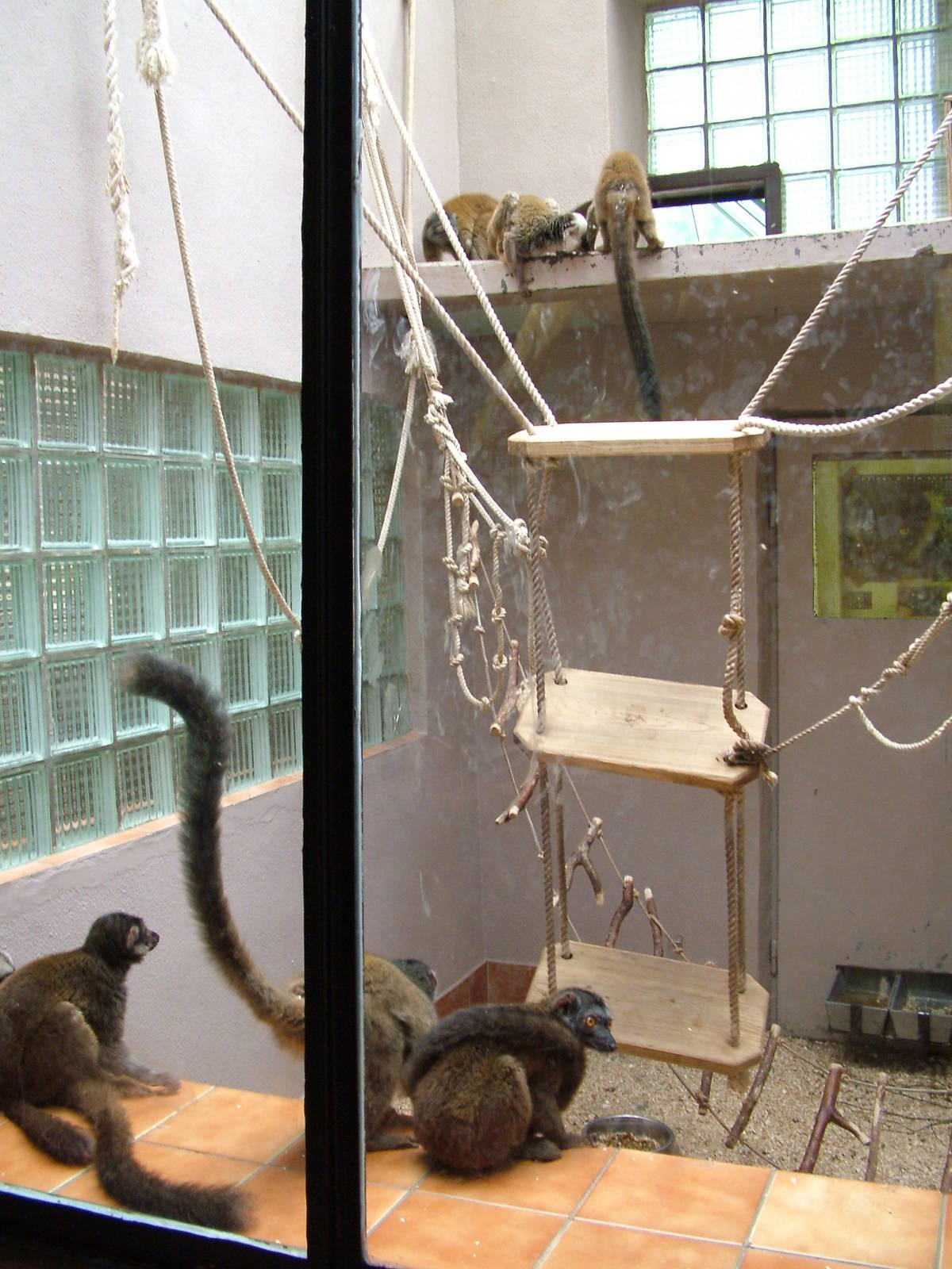 Primate House at Olomouc 30/05/10