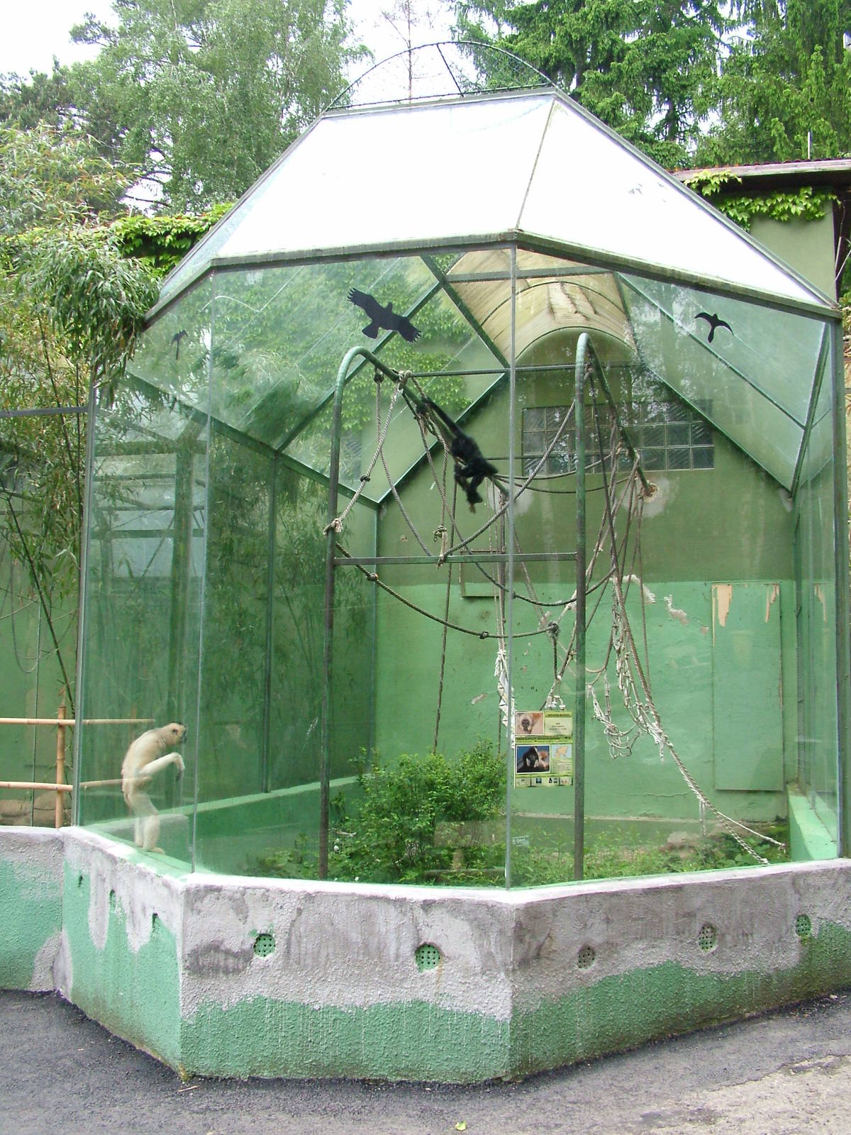 Primate House at Olomouc 30/05/10