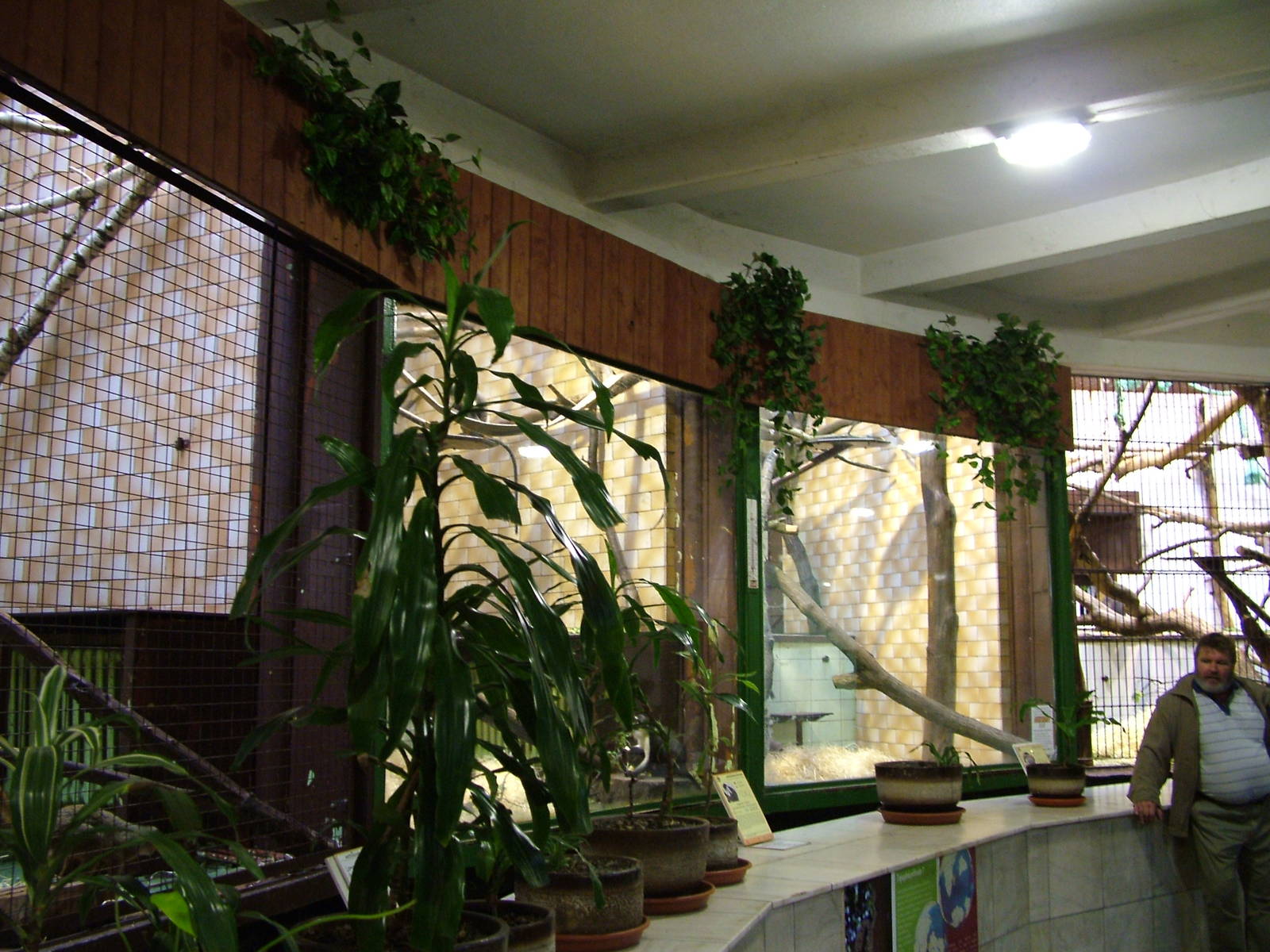 Primate House at Ostrava, 29/05/10