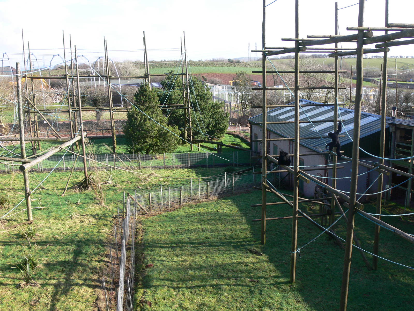 Primate House at South Lakes, 16/02/14