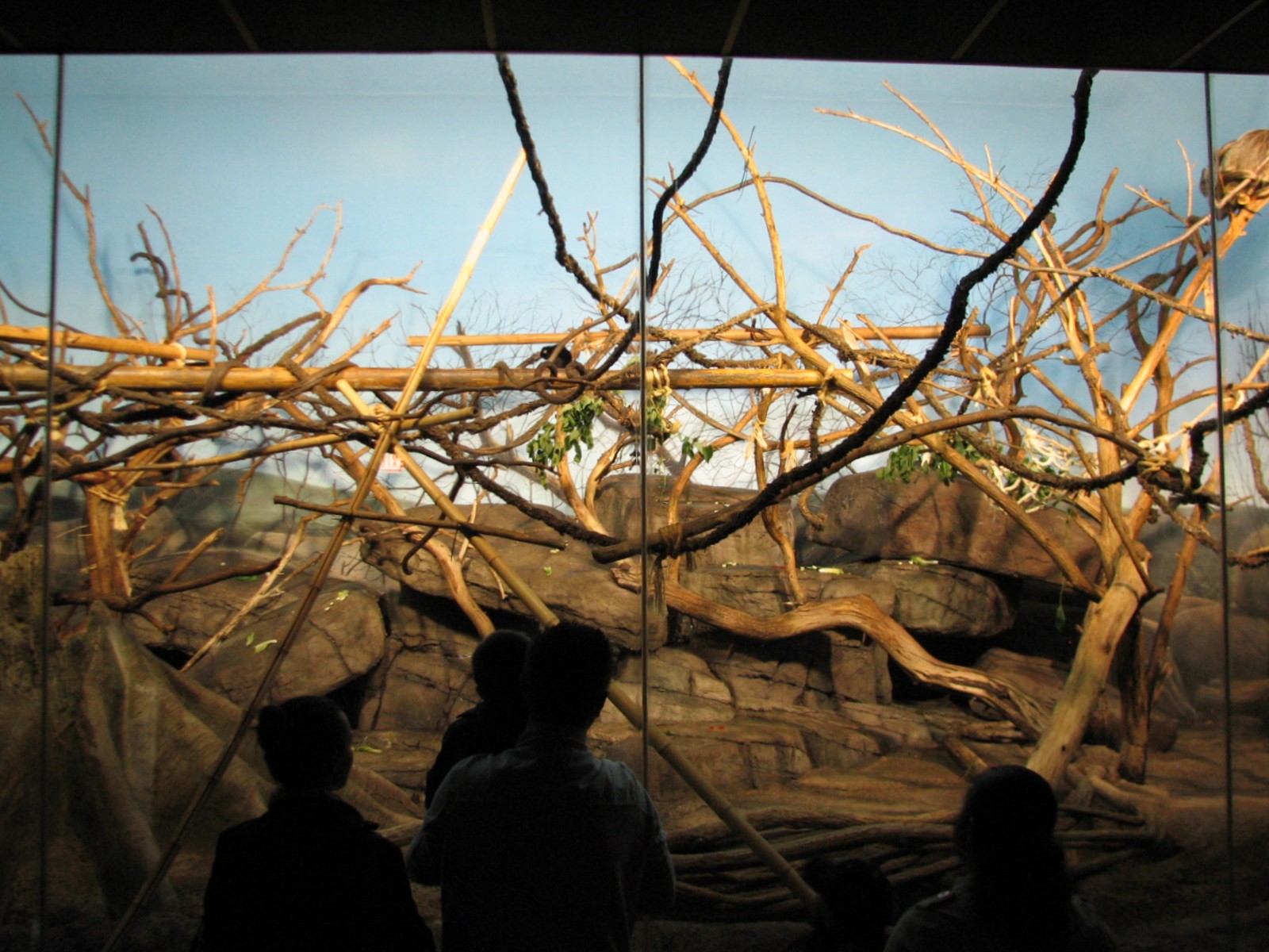 Primate House - Black Howler and Goeldis Monkeys Exhibit