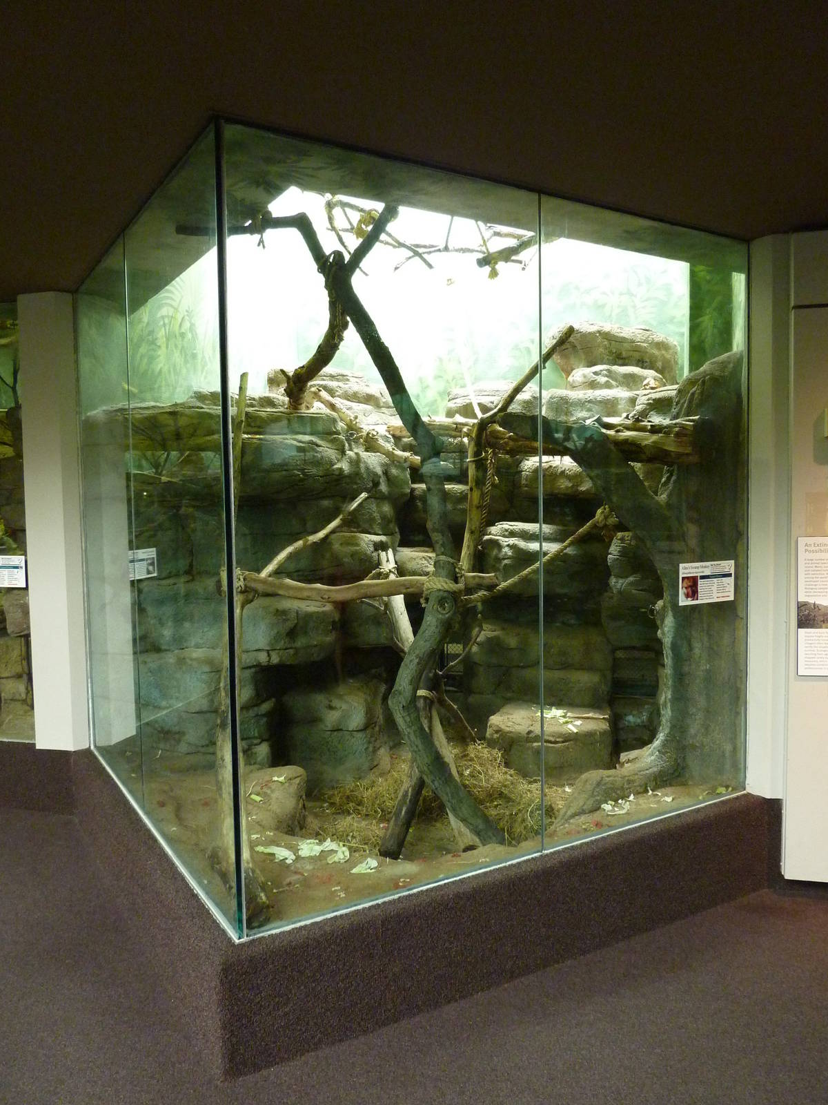 Primate House - Built In 1925 -Allen's Swamp Monkey Exhibit