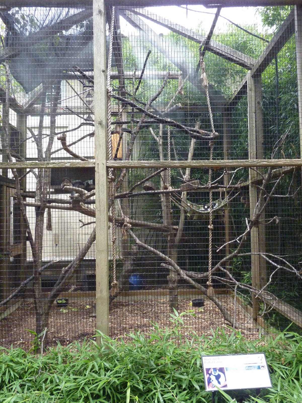 Primate House - Built In 1925 -Black-and-White Ruffed Lemur Exhibit