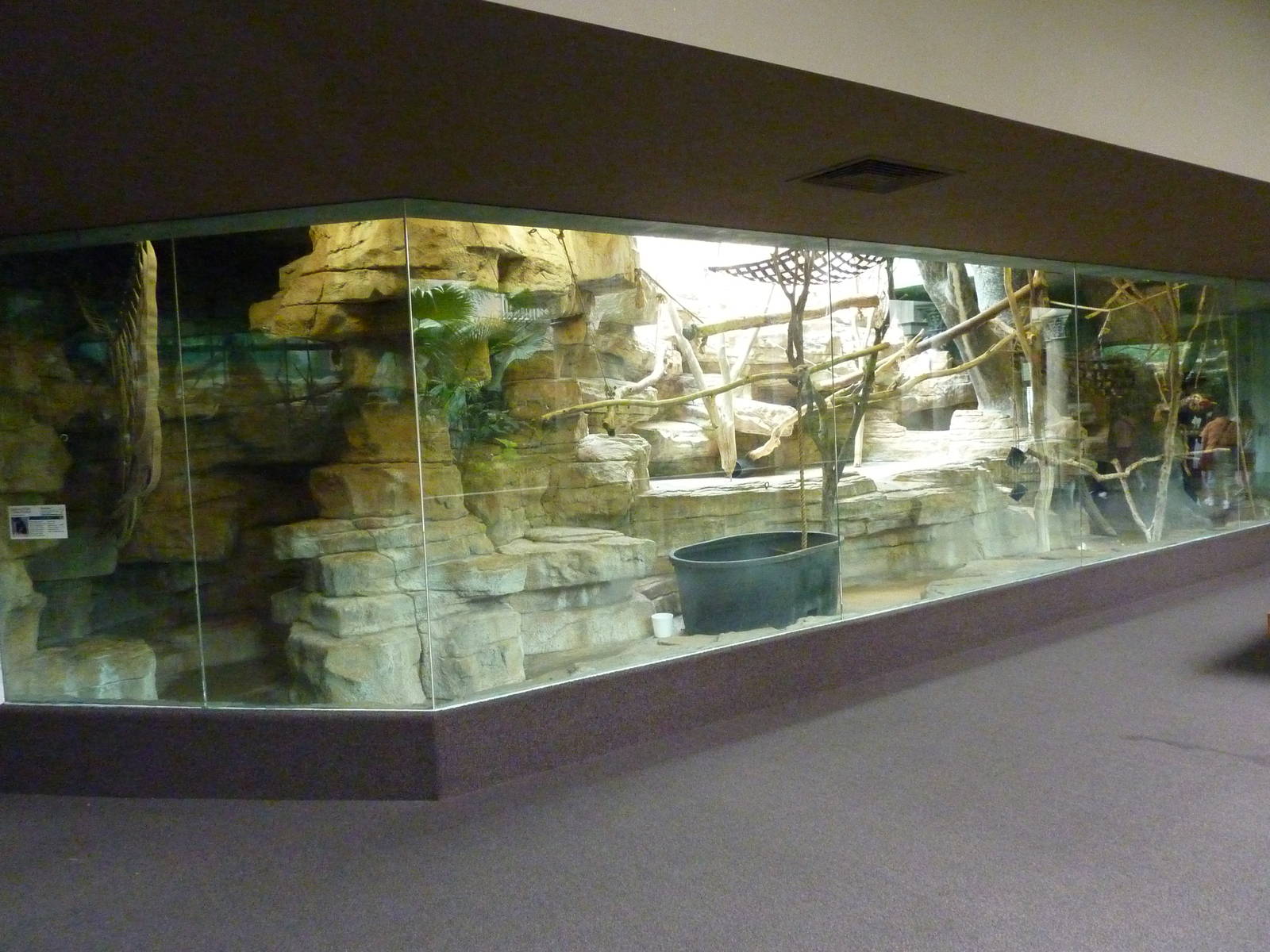 Primate House - Built In 1925 -Lion-Tailed Macaque Exhibit