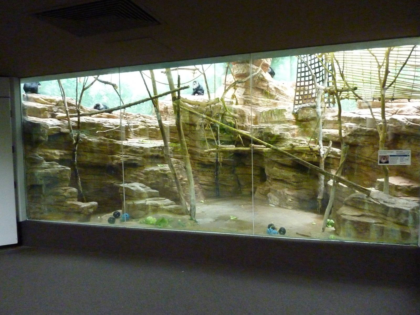 Primate House - Built In 1925 -Lion-Tailed Macaque Exhibit