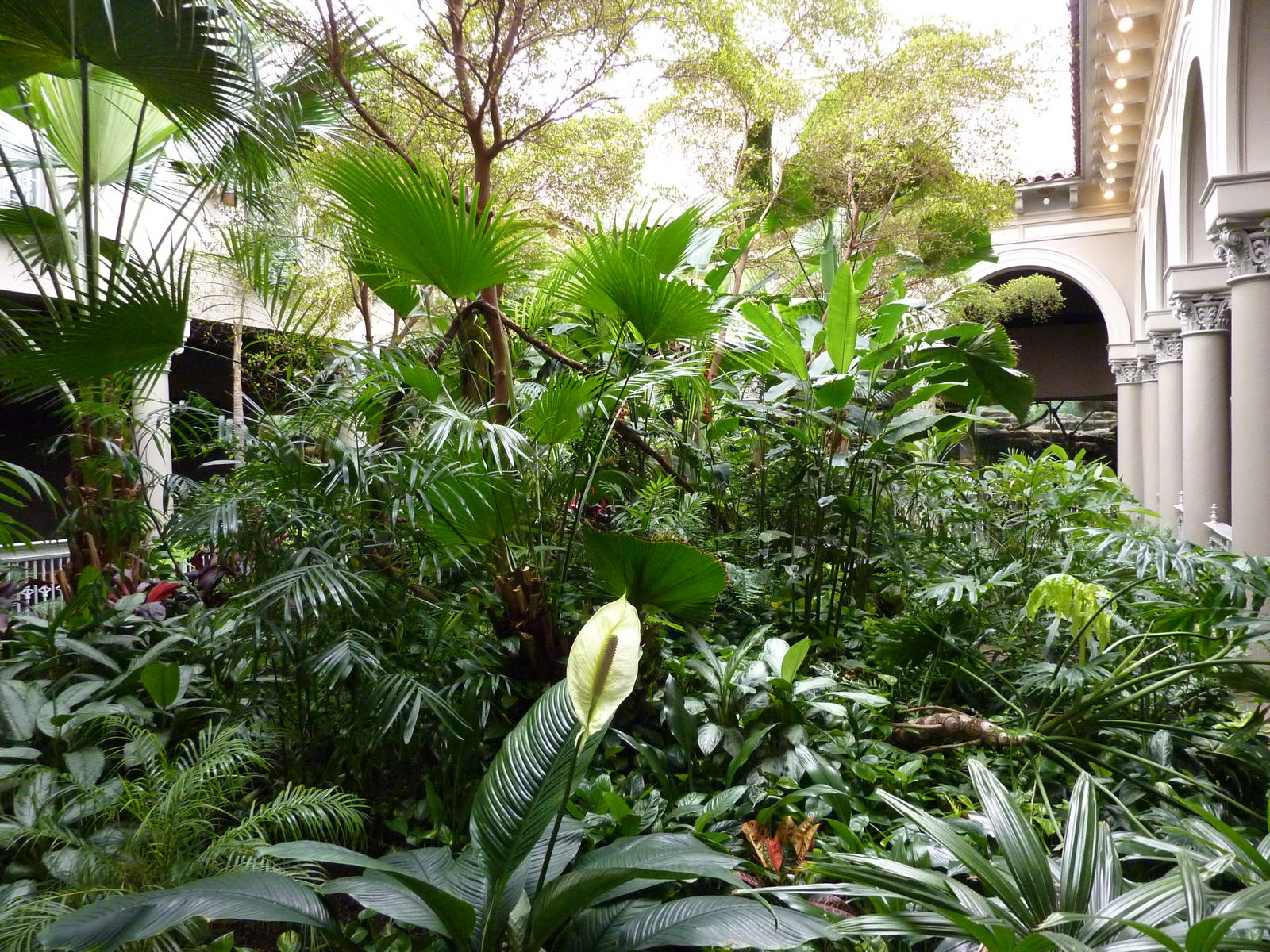 Primate House - Central Garden