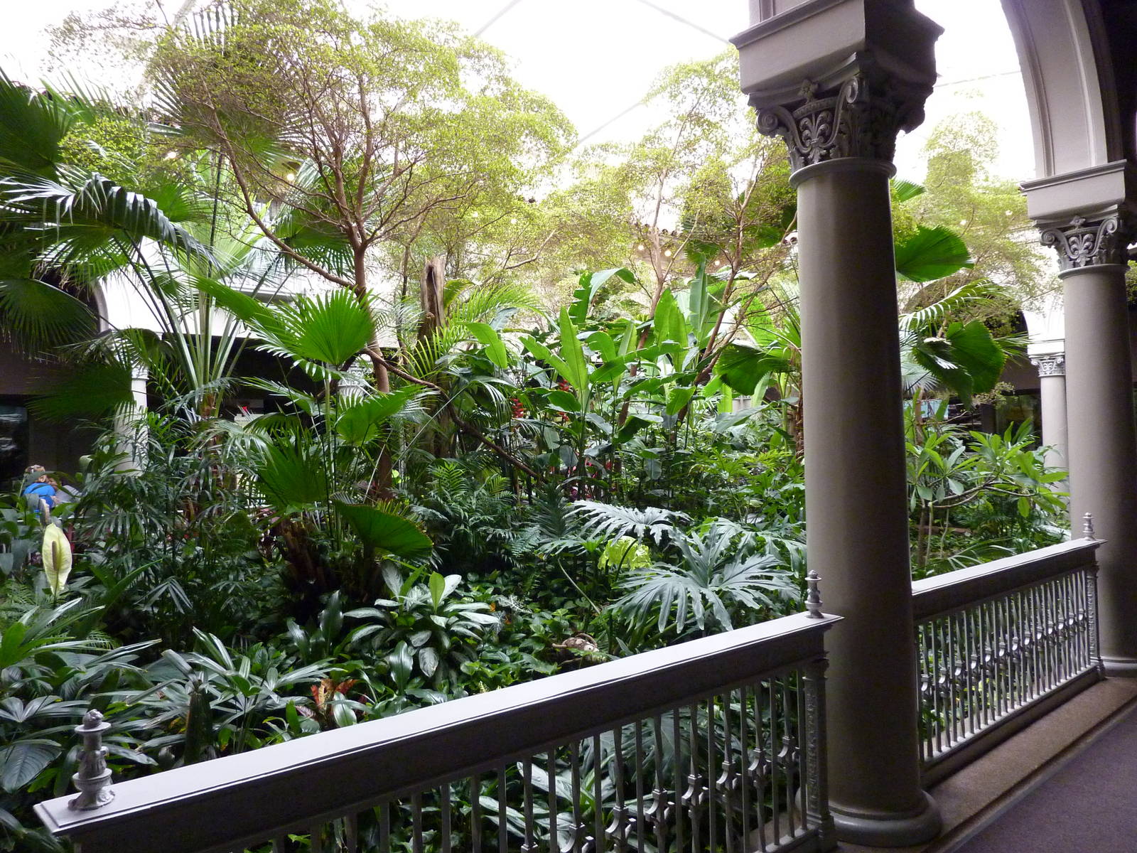 Primate House - Central Garden