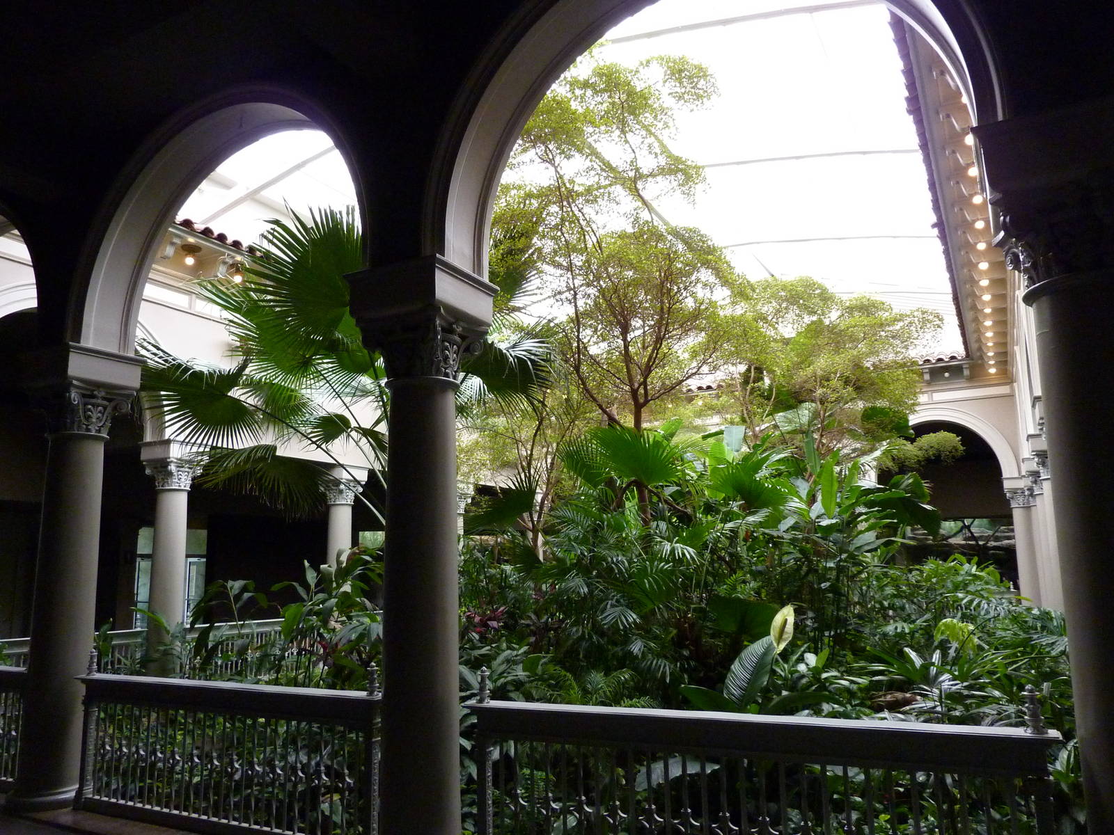 Primate House - Central Garden