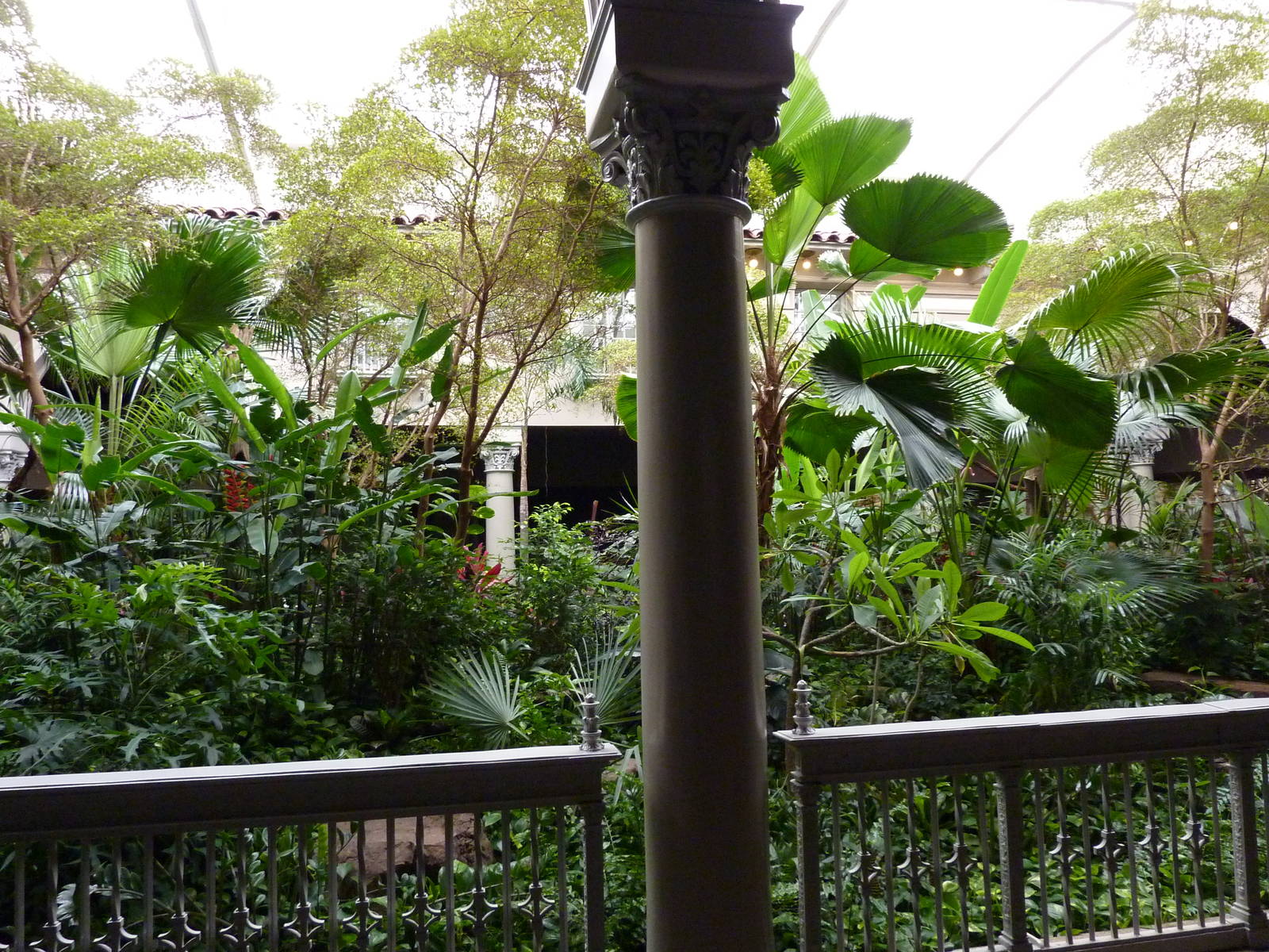 Primate House - Central Garden