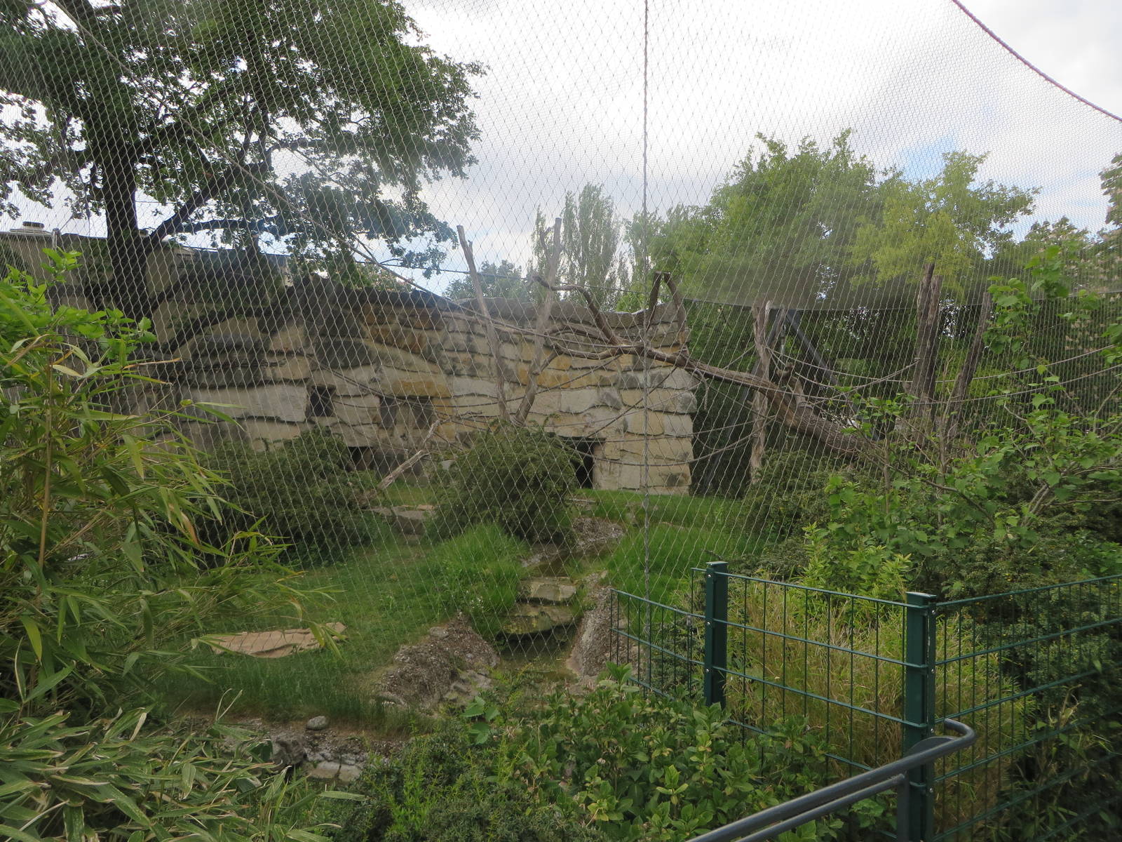 Primate house - chimpanzee outdoors