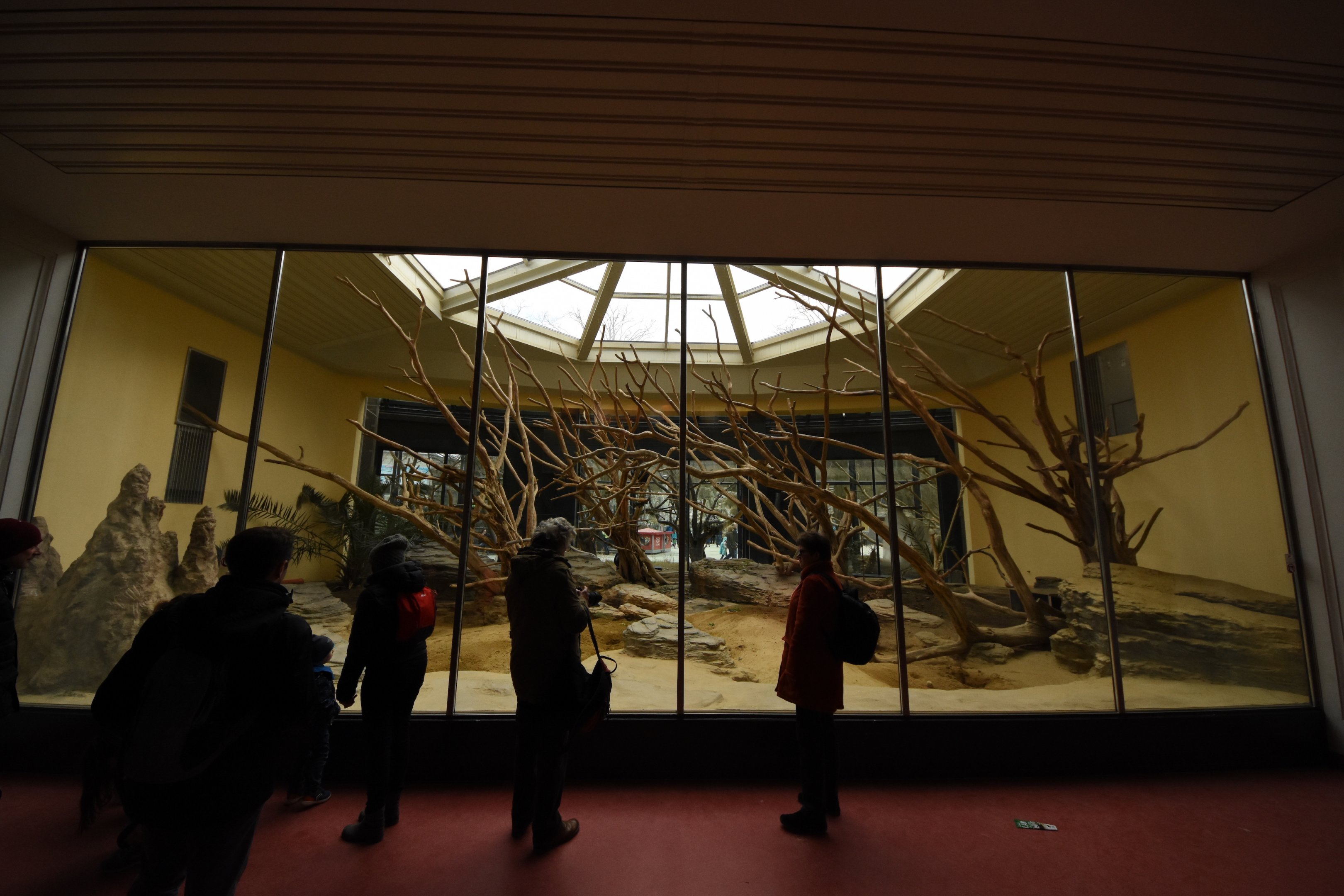 Primate house - Colobus indoors