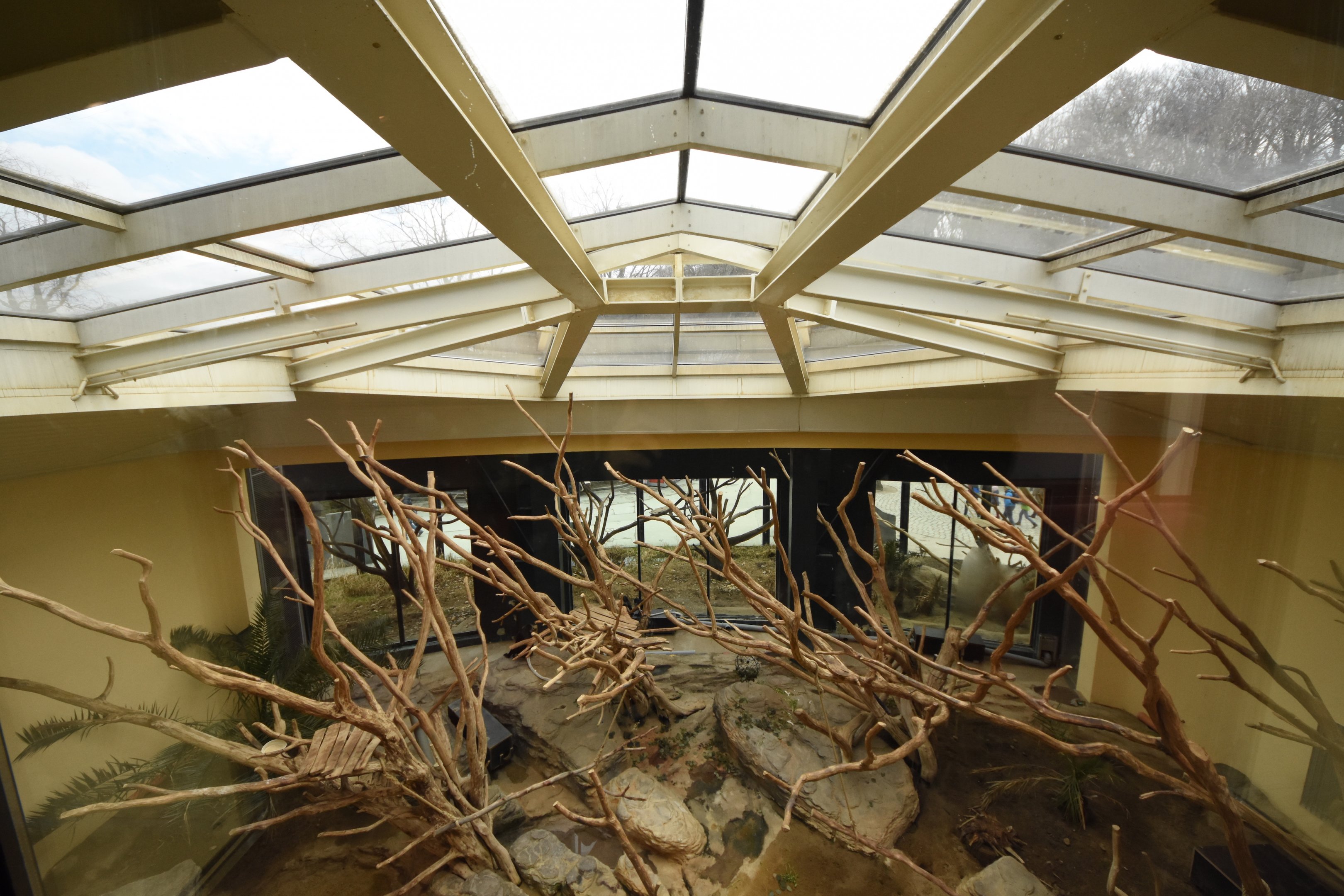 Primate house - Colobus indoors