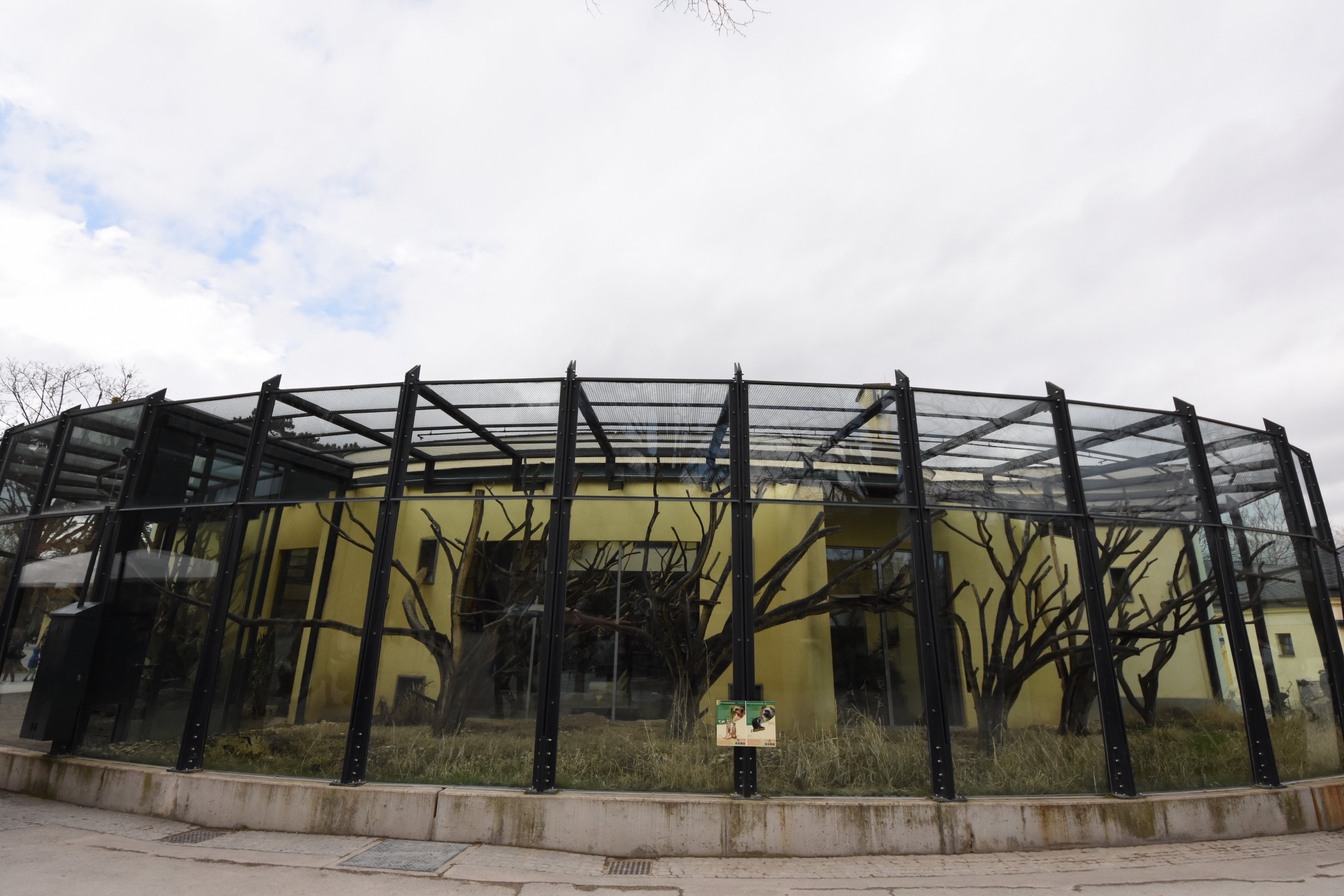 Primate house - Colobus outdoors