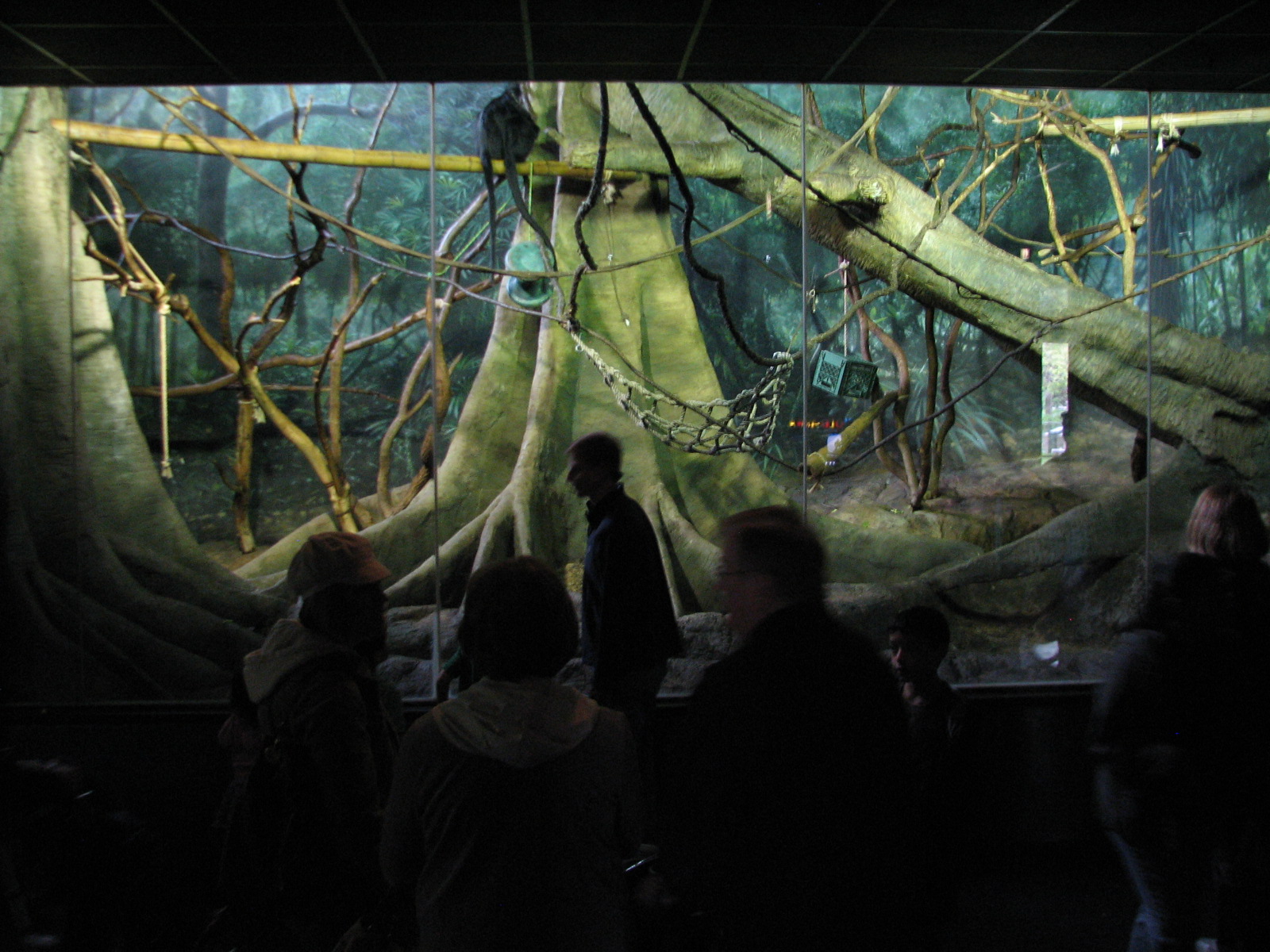 Primate House - Francois Langur Exhibit