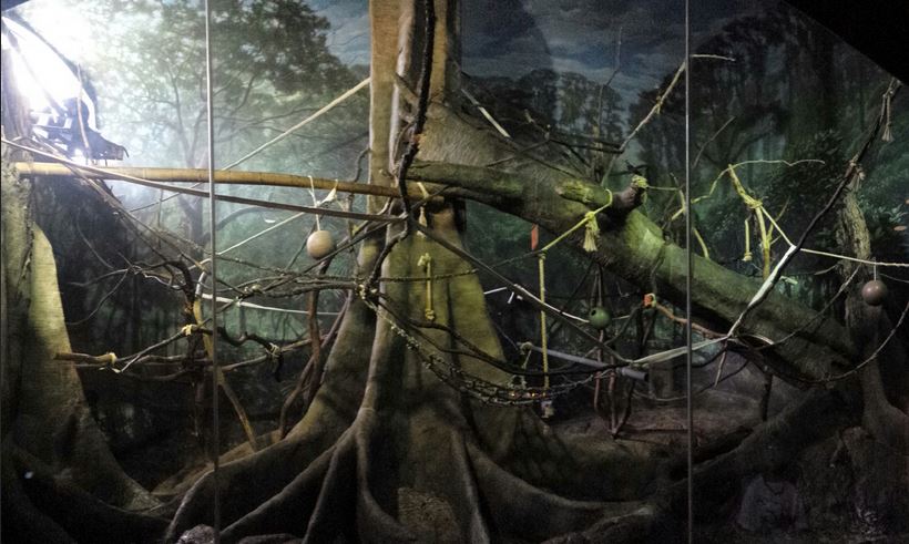 Primate House - Francois' Langur Exhibit