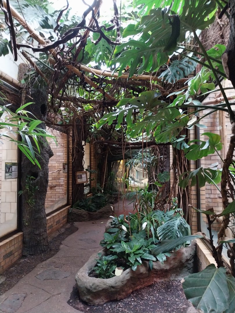 Primate House - General view