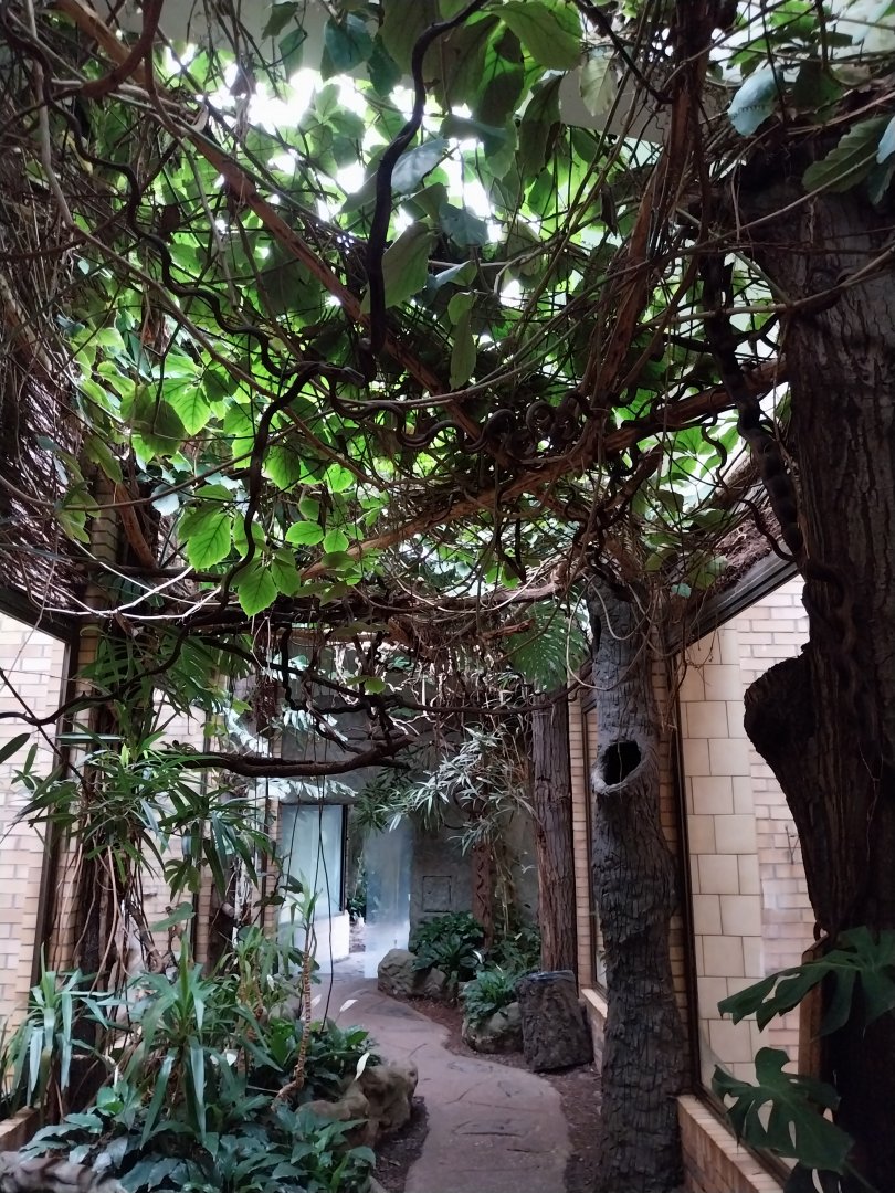 Primate House - General view