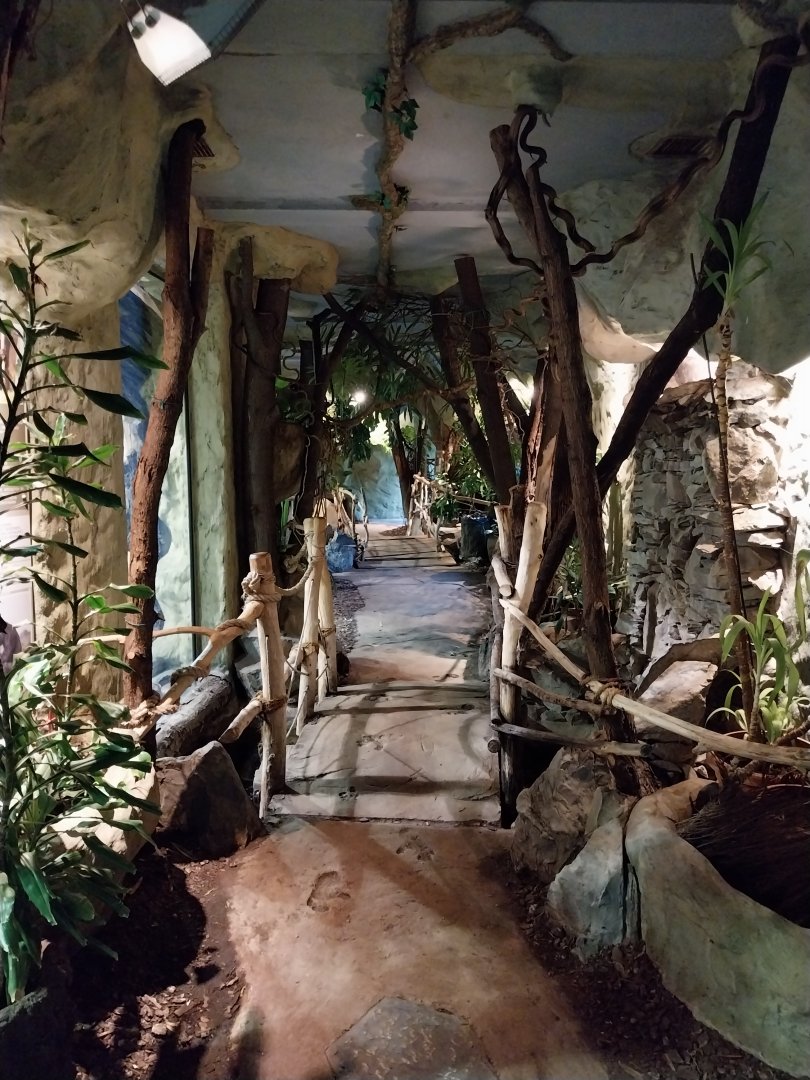 Primate House - General view