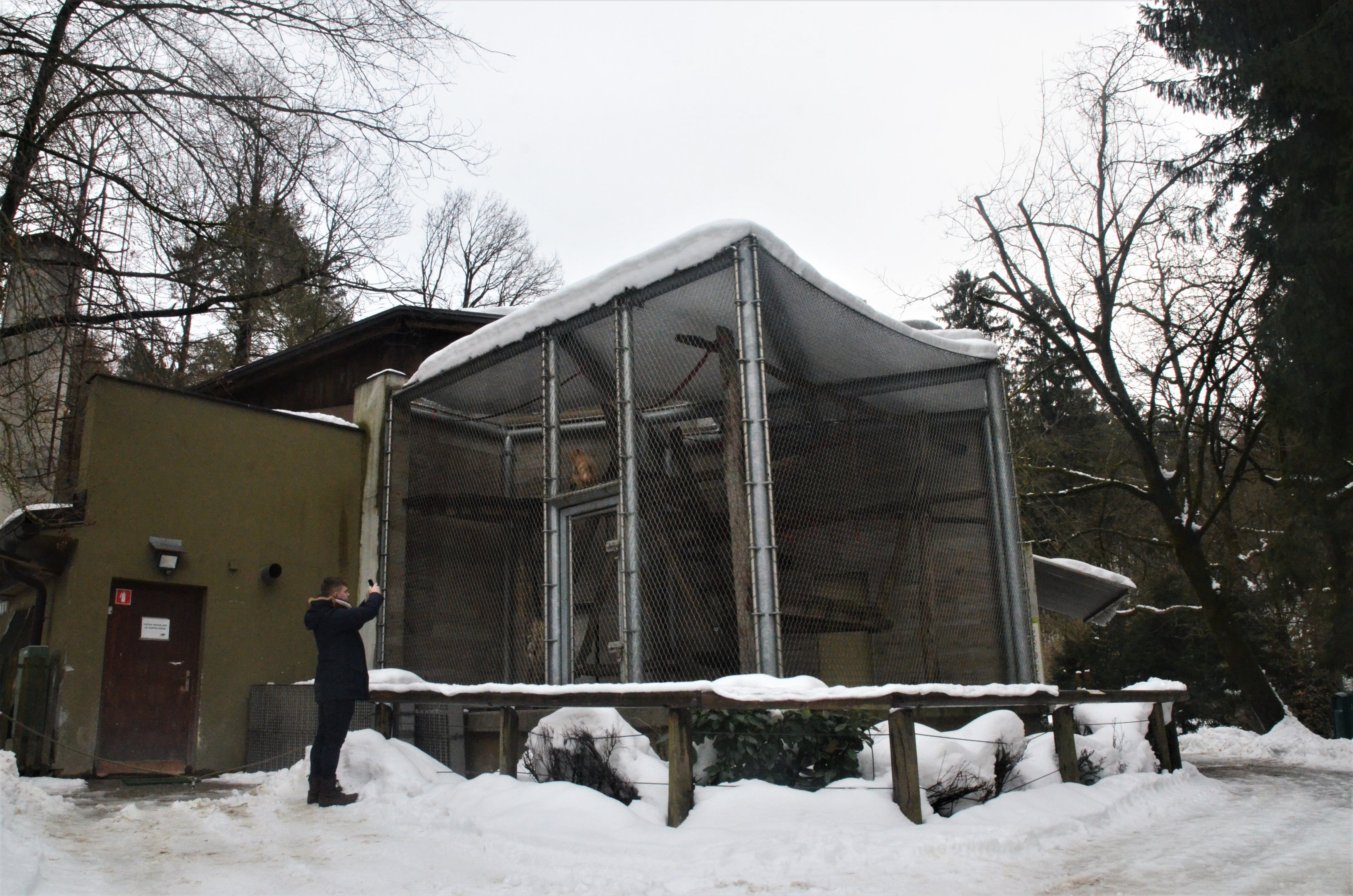 Primate House (Gibbon Enclosure) at Ljubljana Zoo, 07/03/18