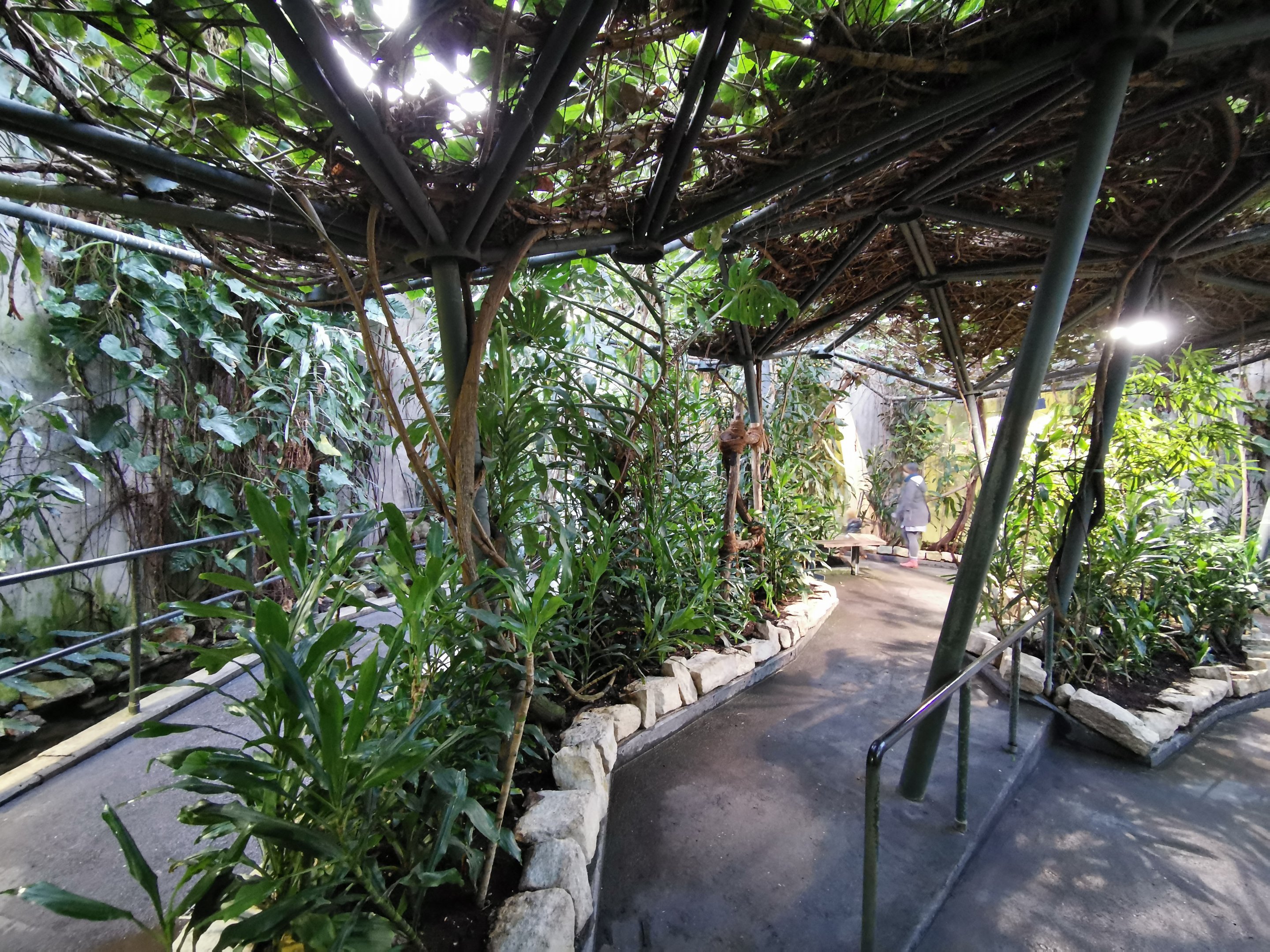 Primate house in Afi Mountain