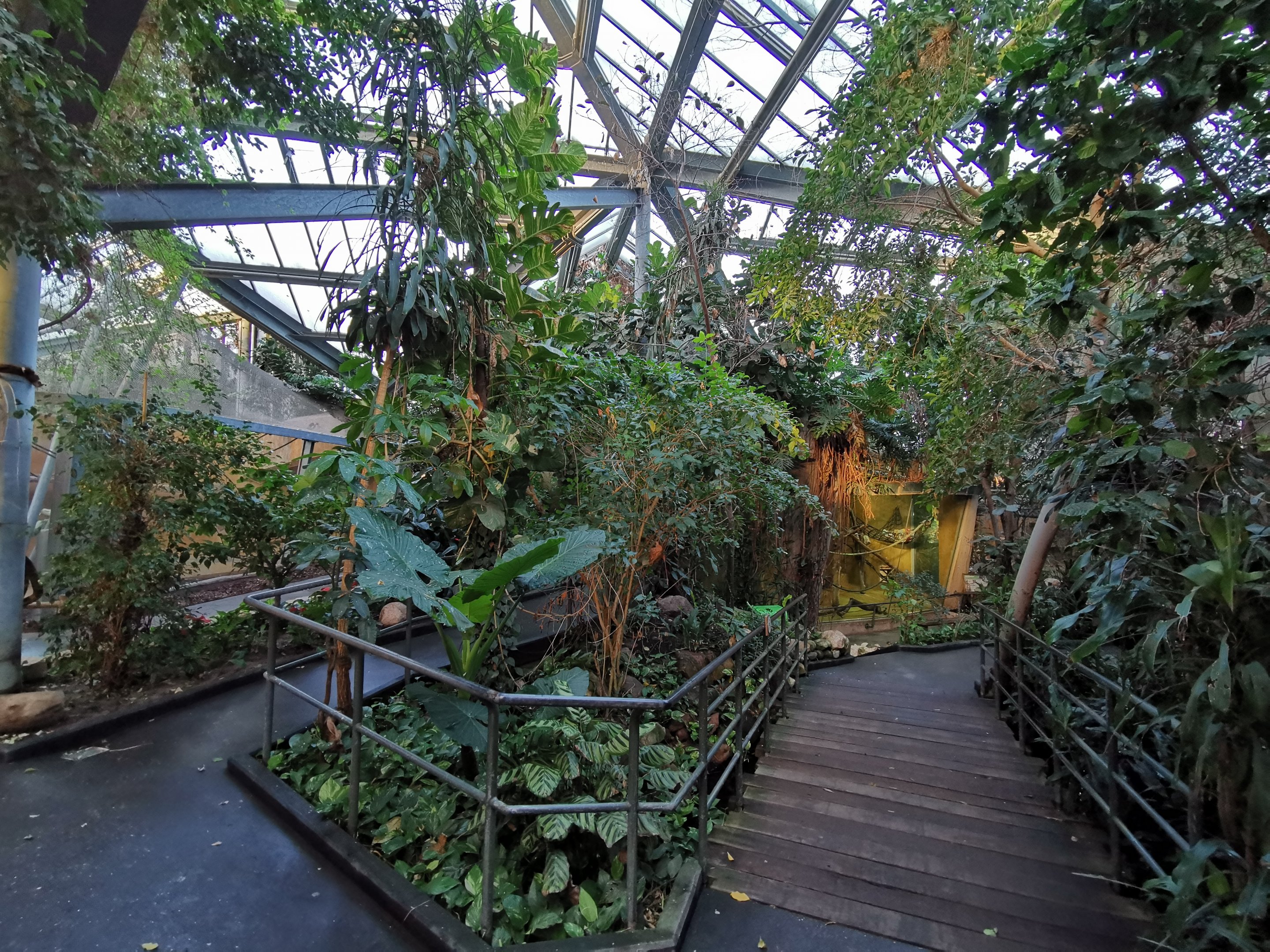 Primate house in Afi Mountain