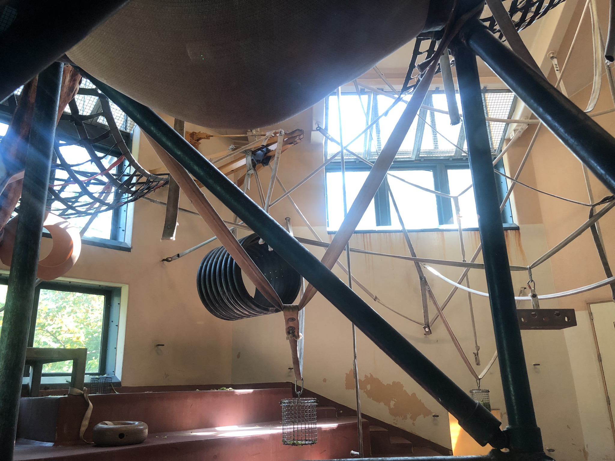 Primate house, Indoor gorilla exhibit