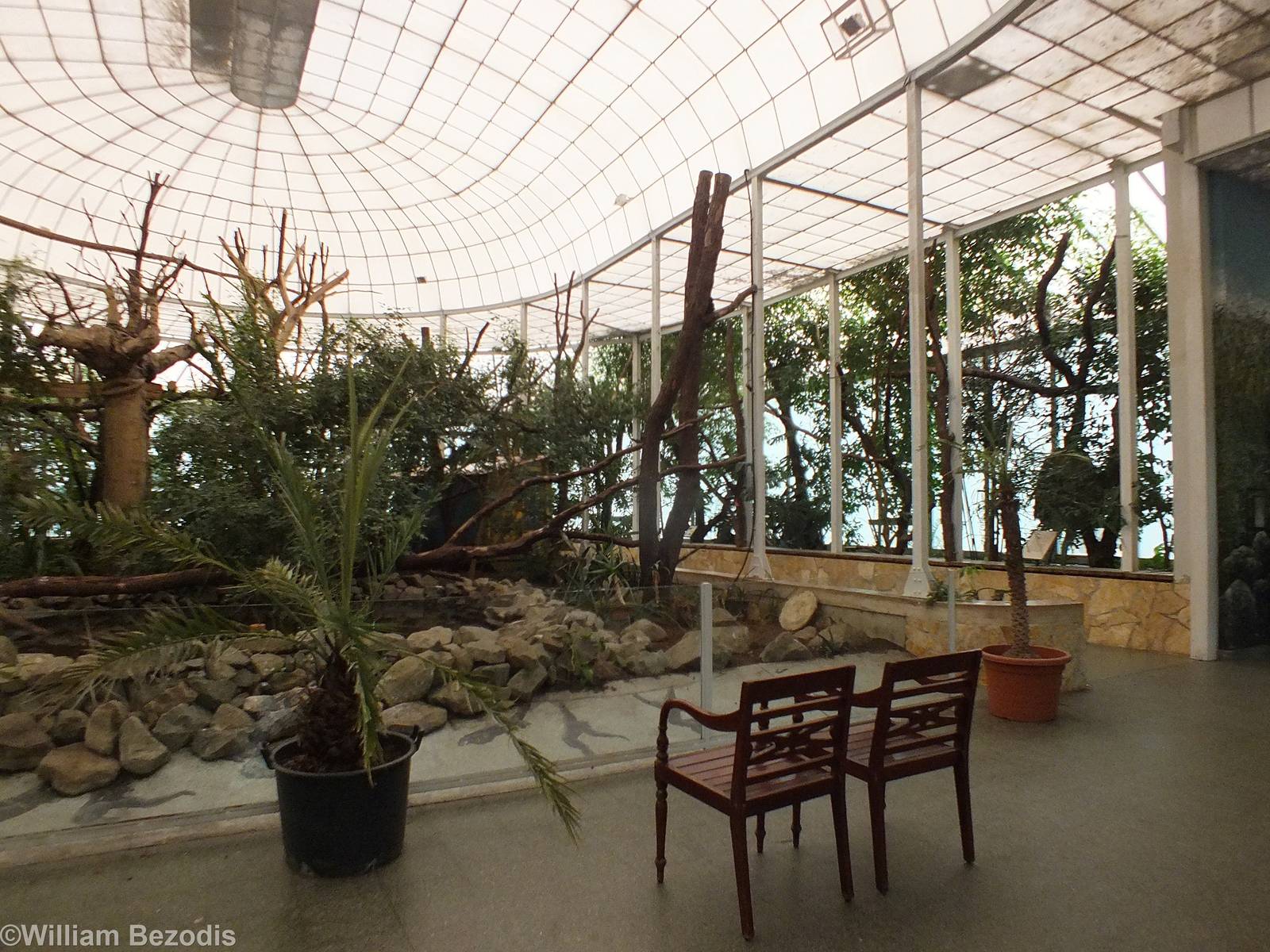 Primate House Indoor - With free ranging species