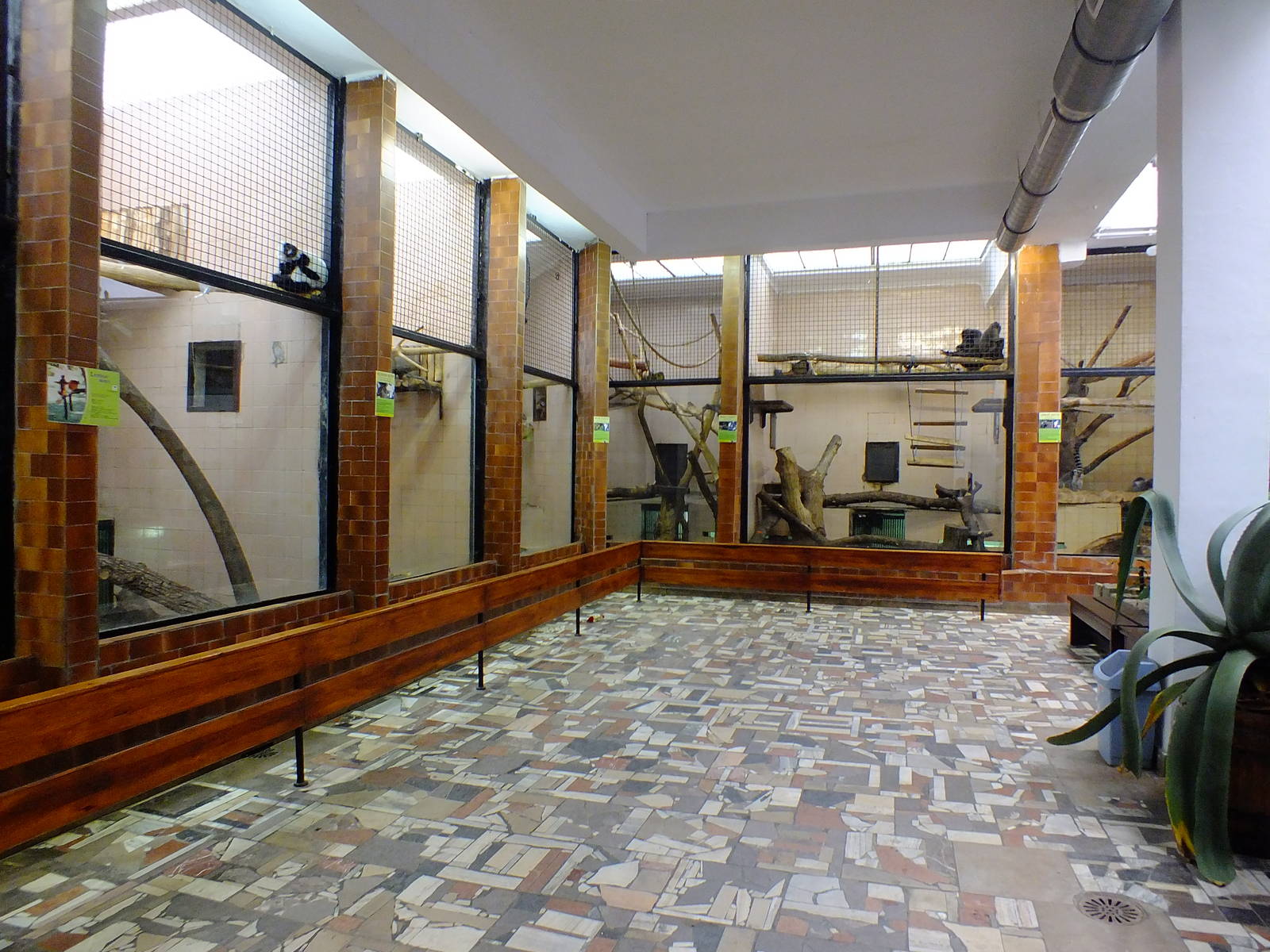 Primate house indoors (species list in description)