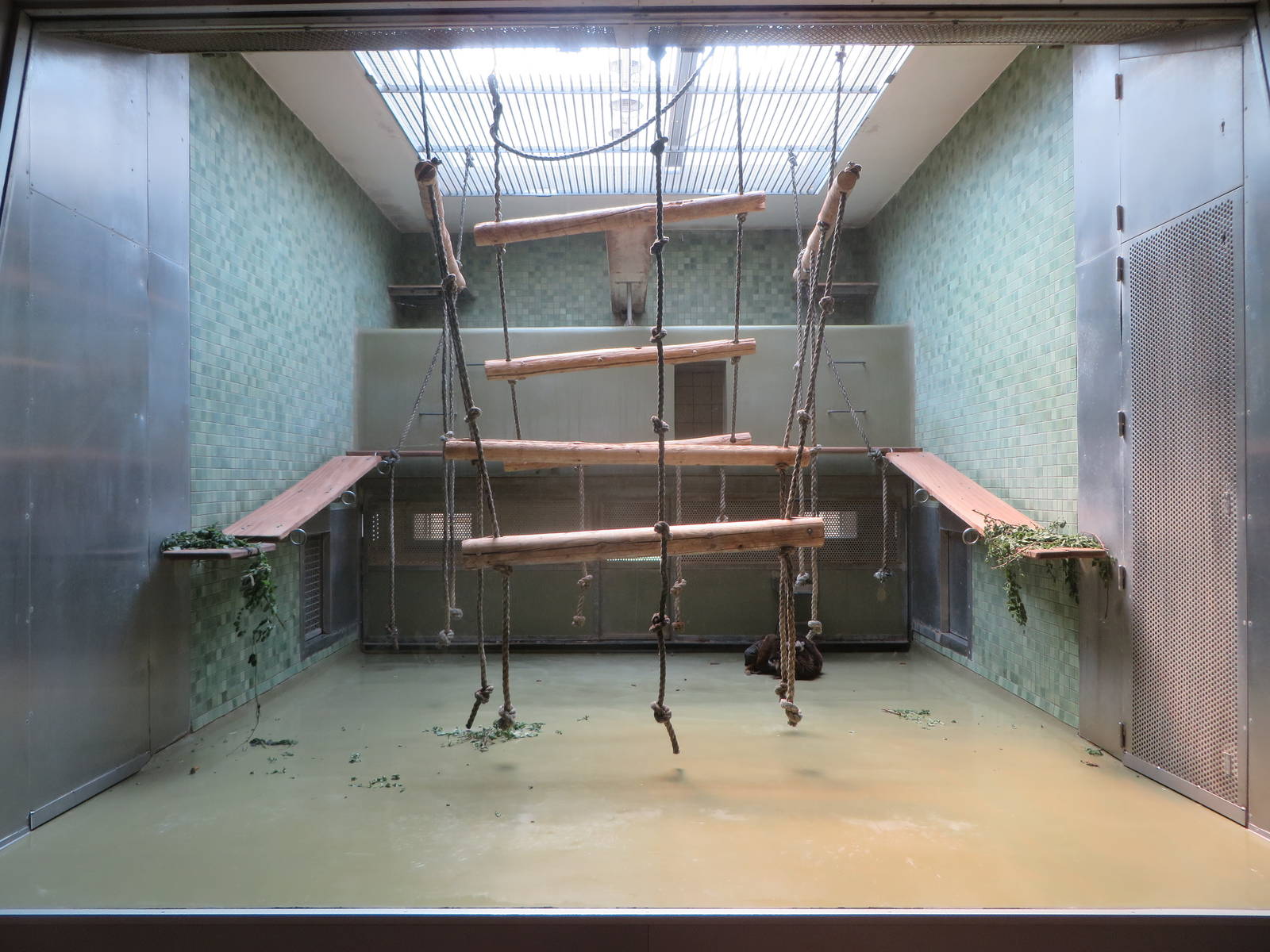 Primate house - indoors