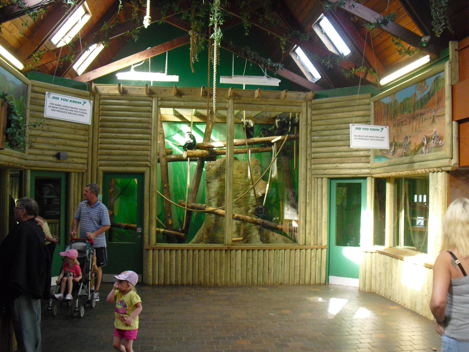 Primate House Interior - 01/10/2011