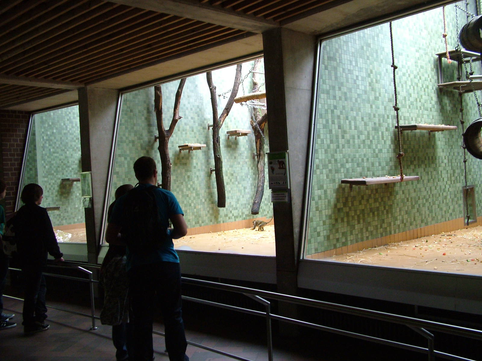 Primate House Interior at Berlin Zoo, 31/08/11