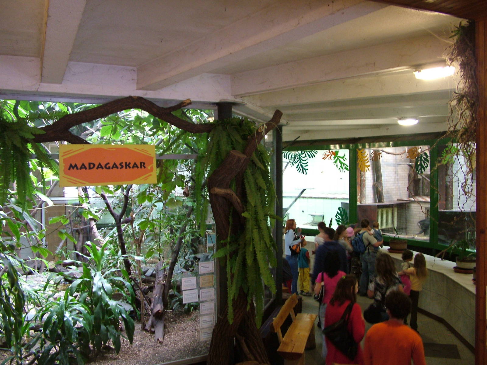 Primate House interior at Ostrava, 29/05/10