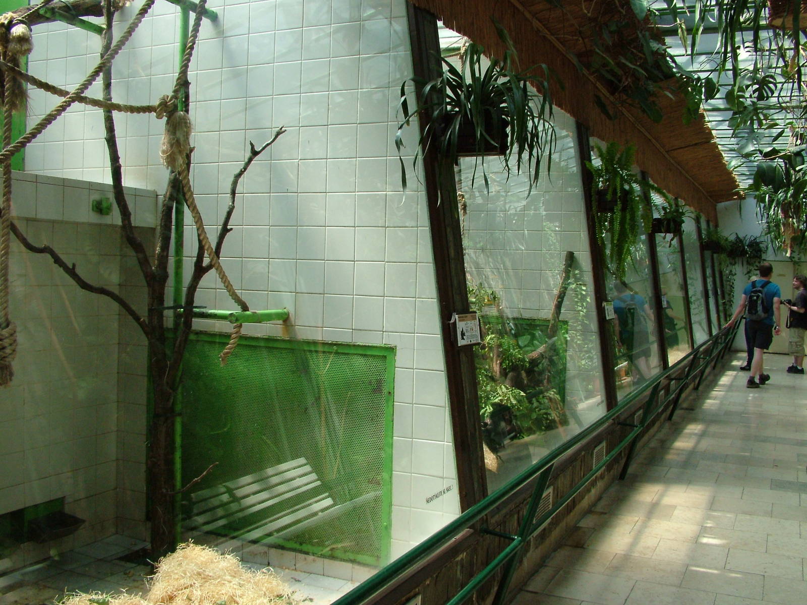 Primate House interior at Zlin, 28/05/10