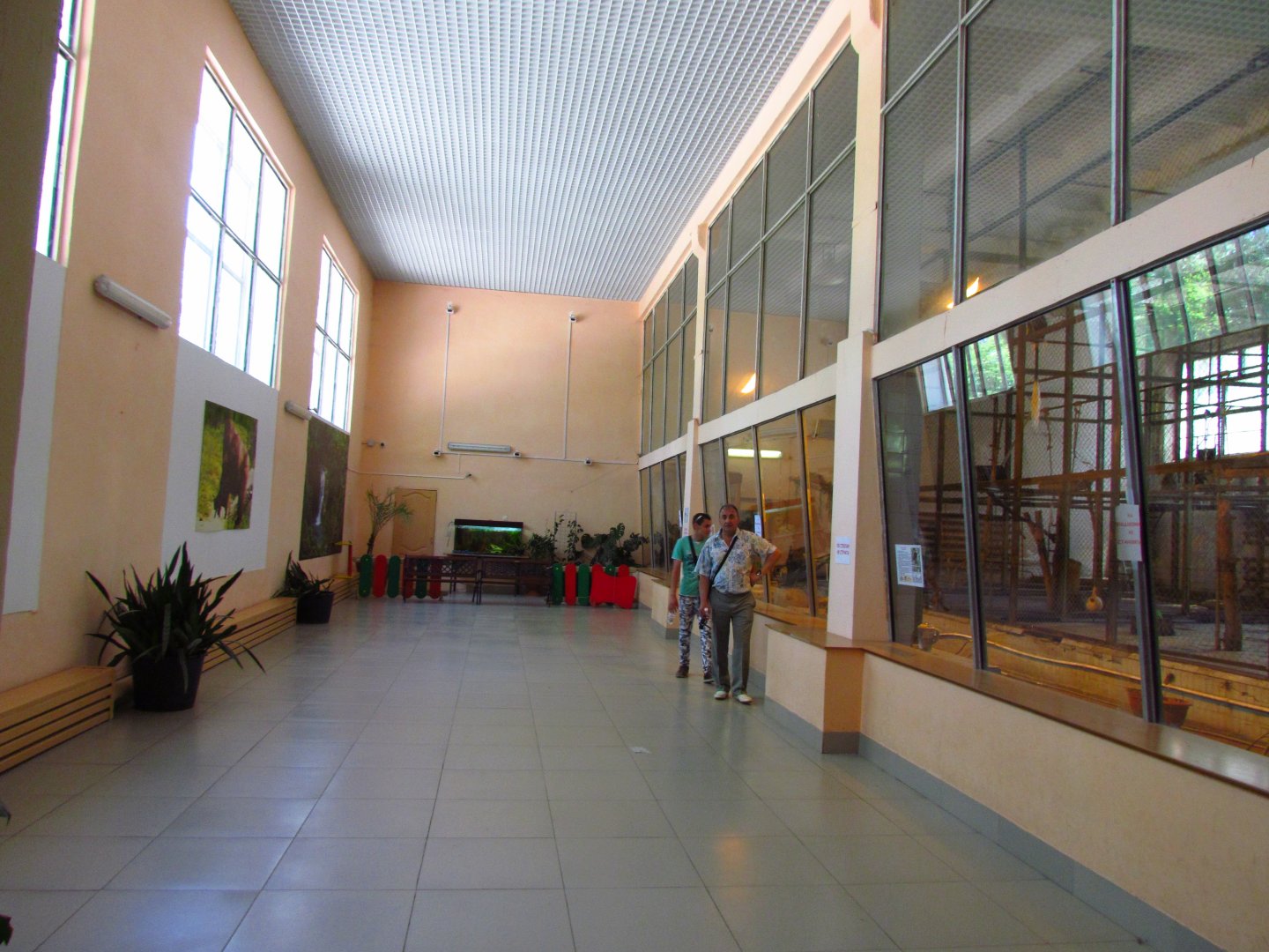 Primate house interior, monkey exhibits