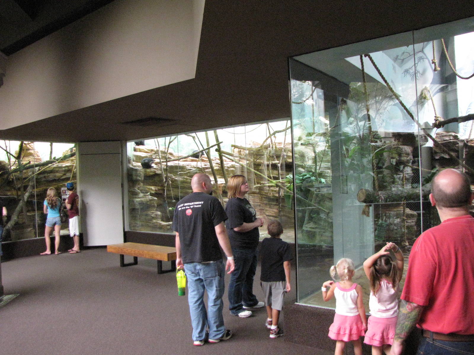 Primate House Interior Walkway
