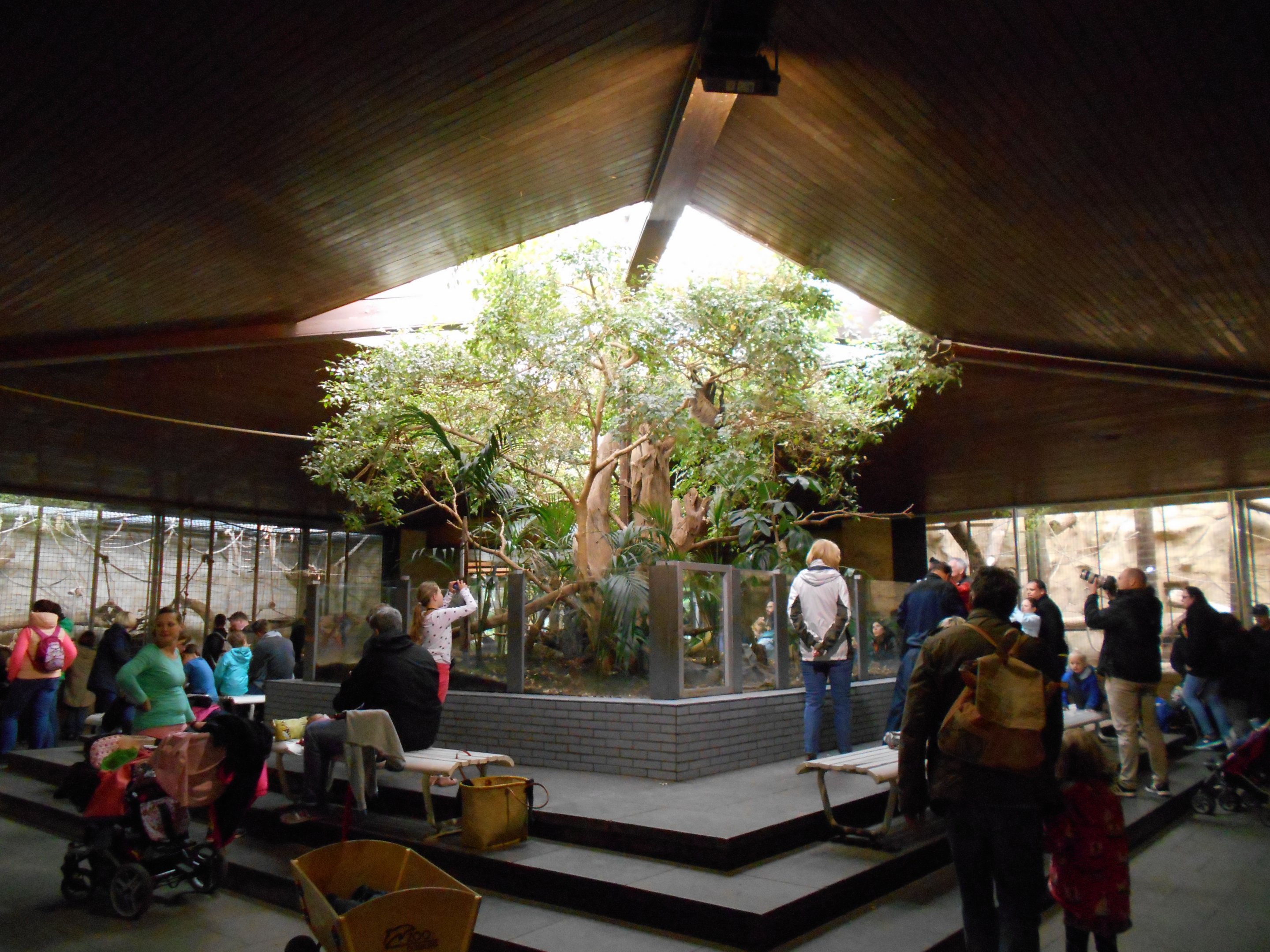 Primate House interior