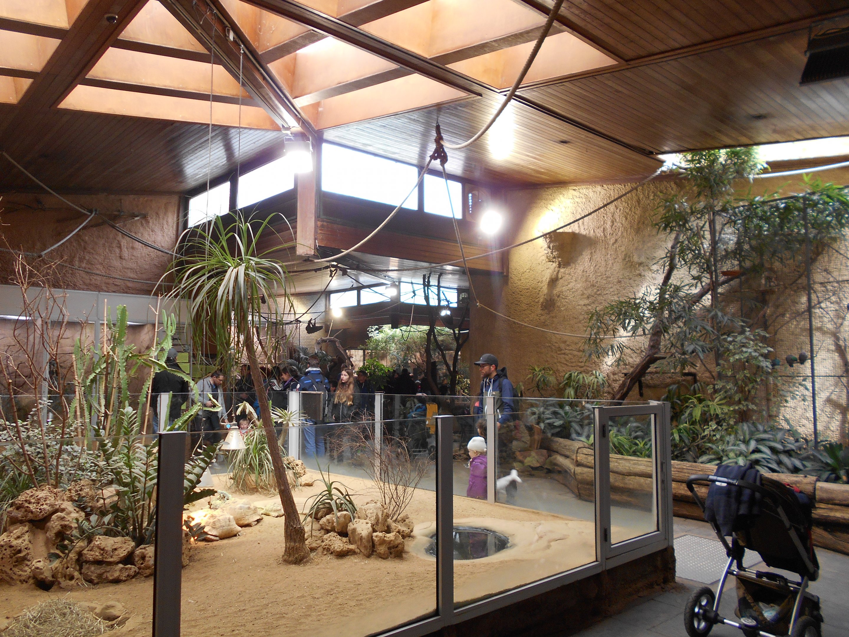 Primate House interior