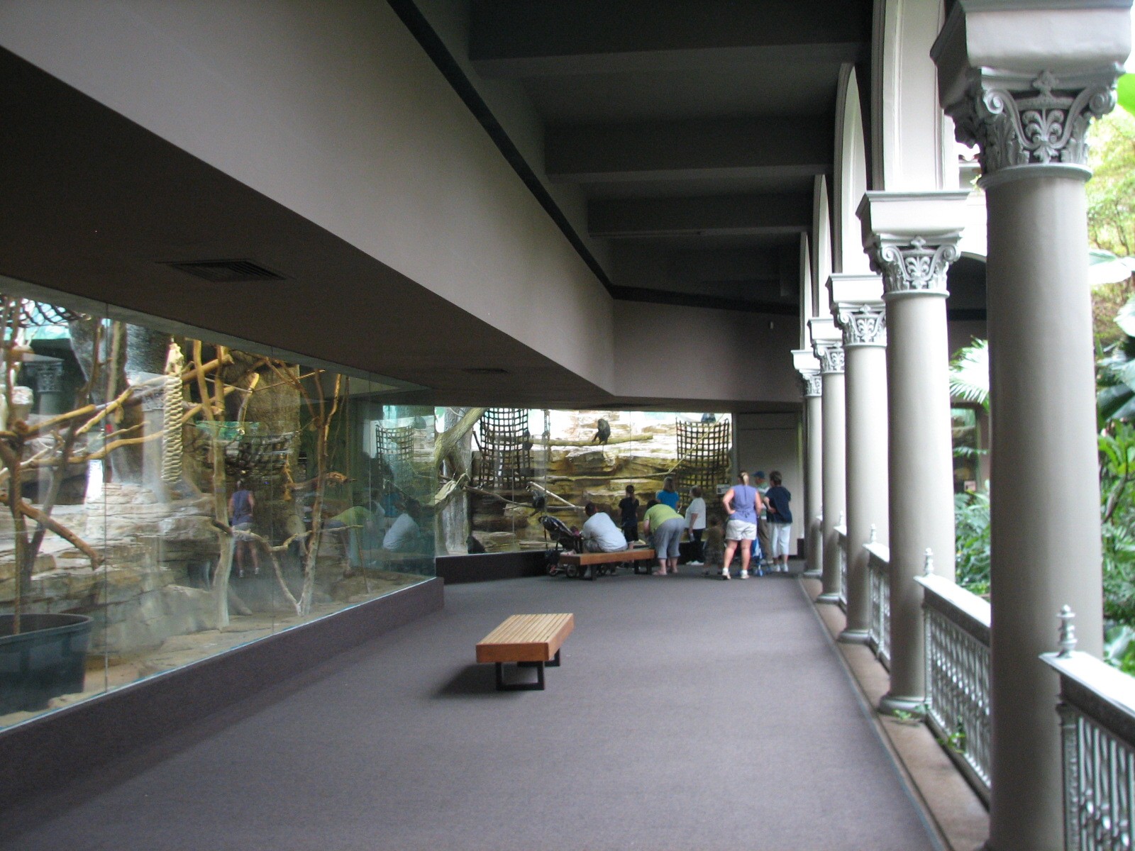 Primate House - Interior