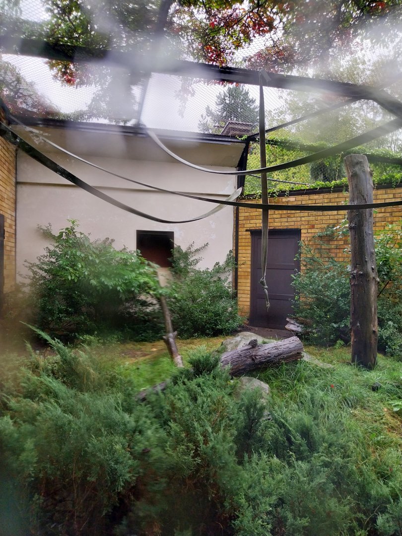 Primate House - Lar gibbon enclosure