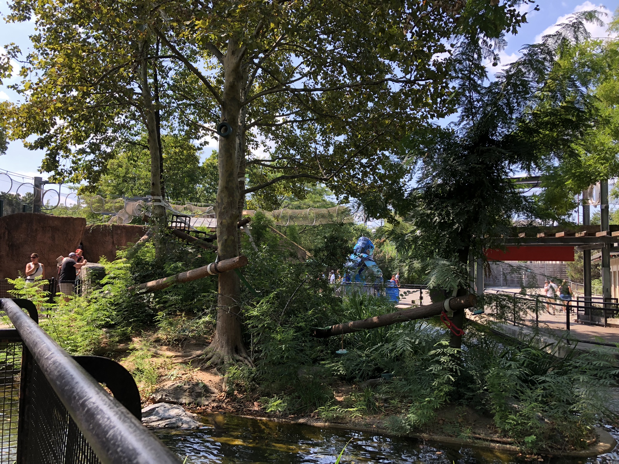 Primate house, lemur exhibit