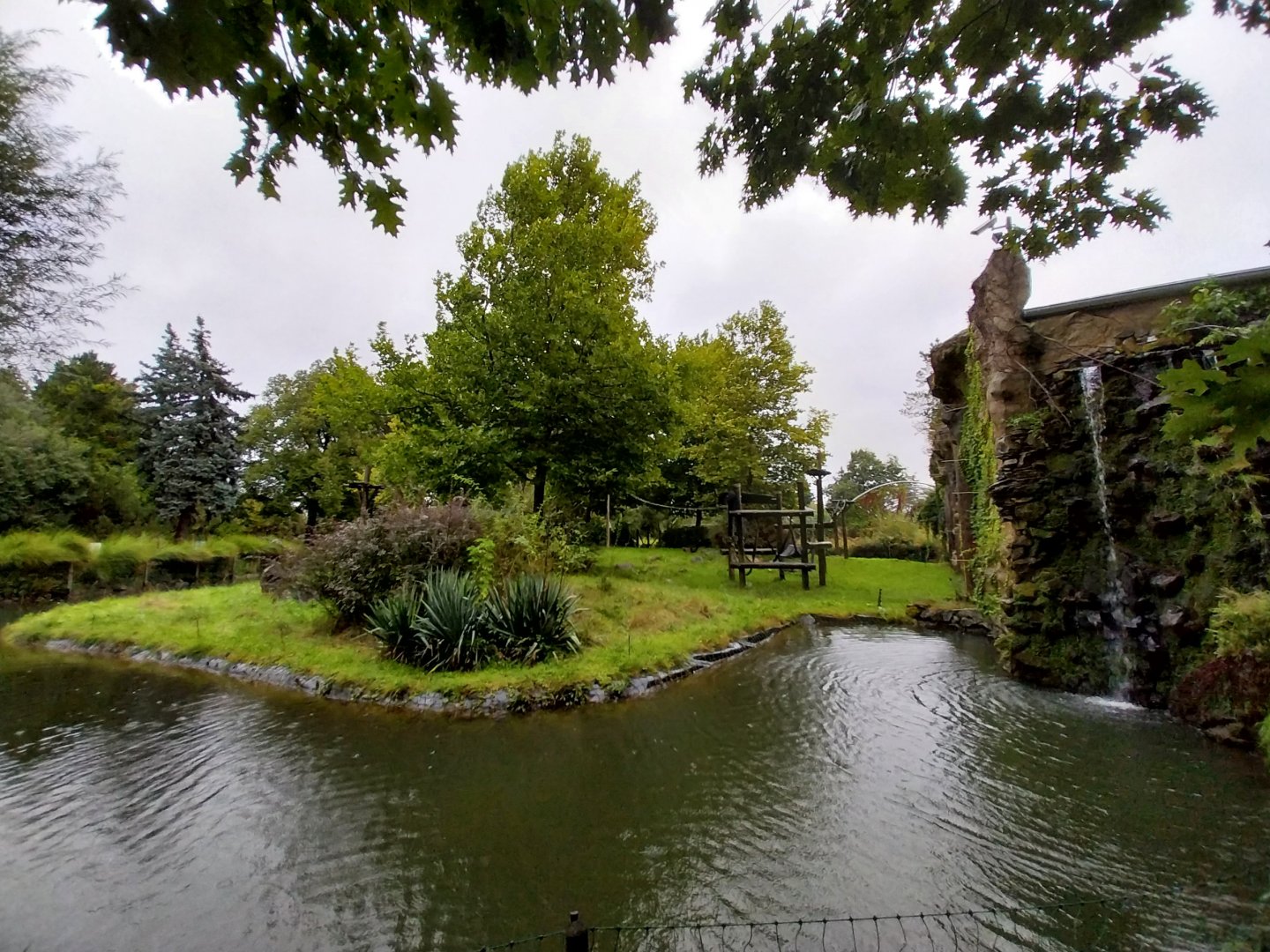 Primate House - Main gorilla enclosure
