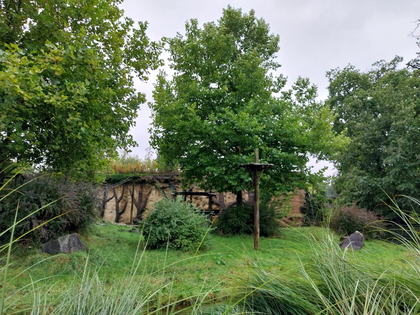 Primate House - Main gorilla enclosure